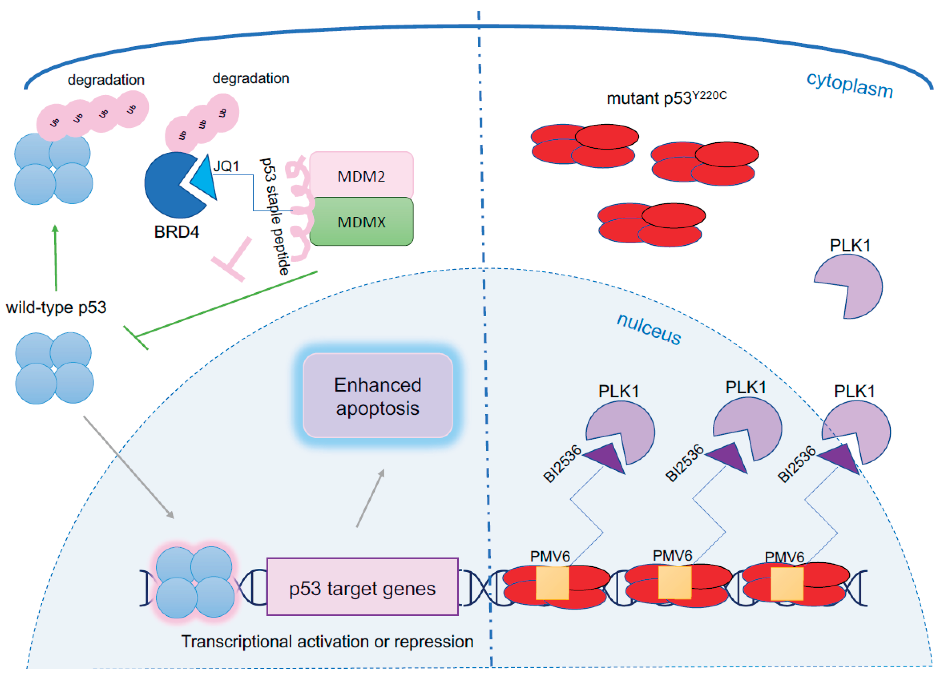 Preprints 187611 g001