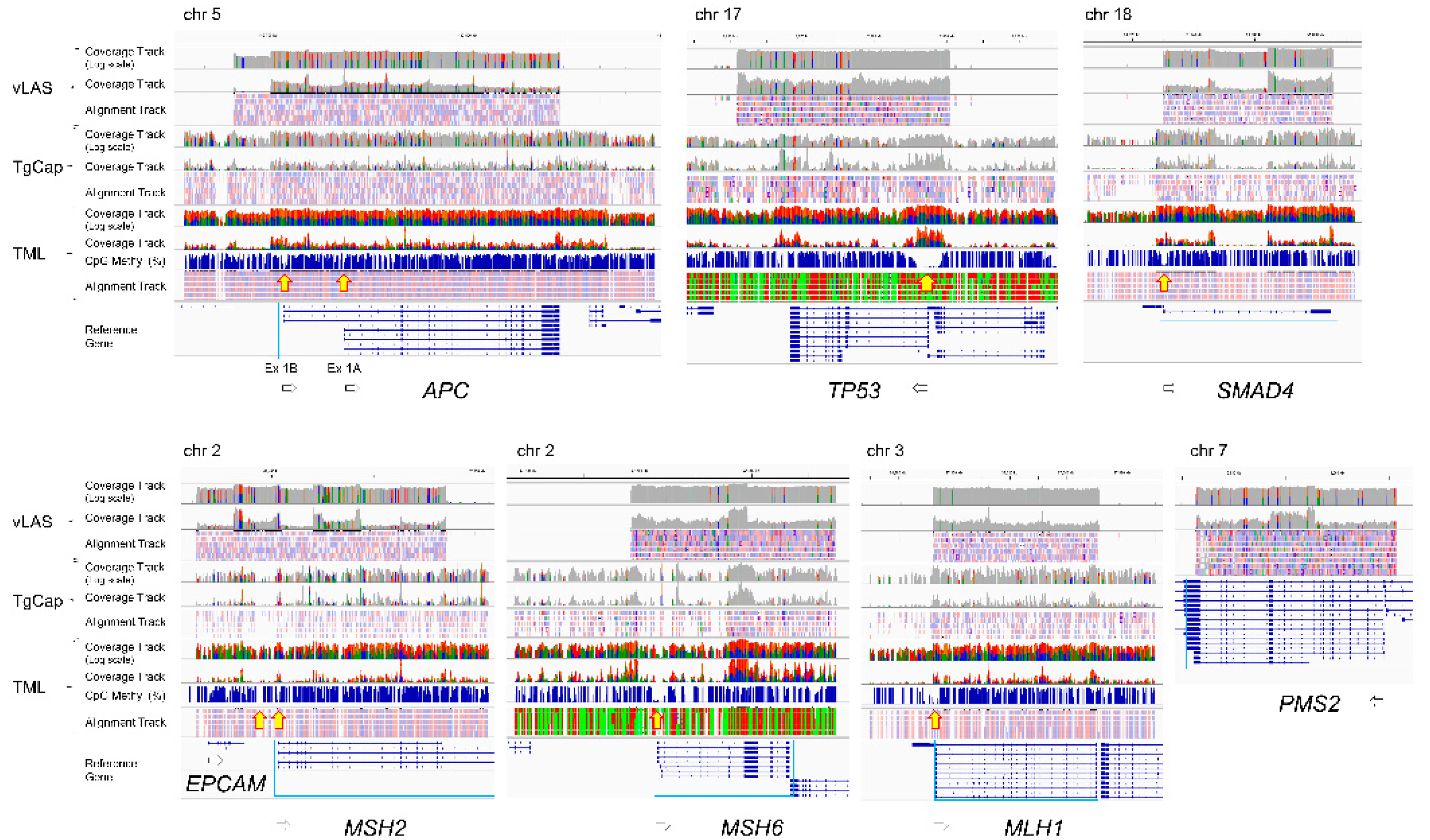 Preprints 145418 g001
