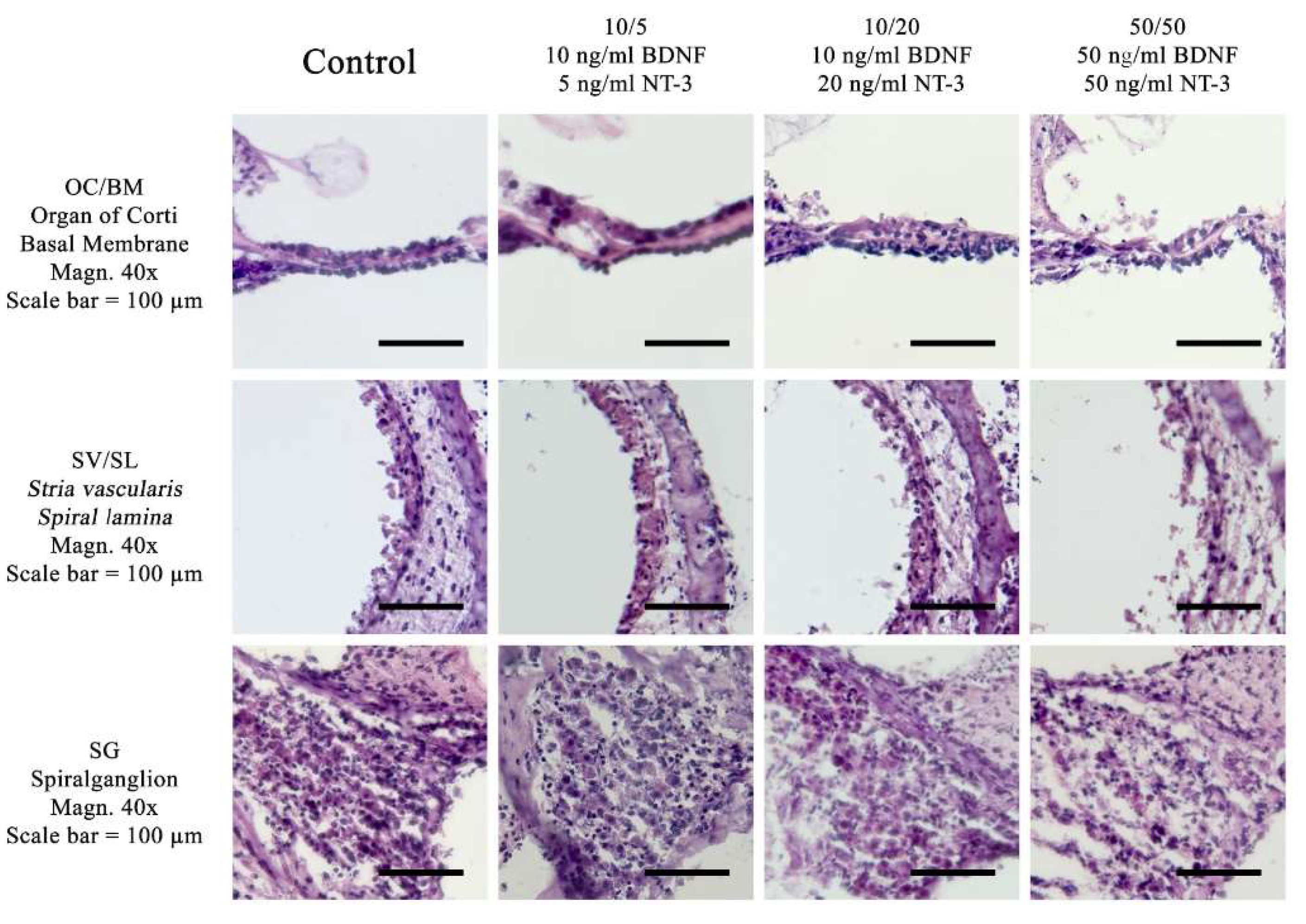 Preprints 151661 g001