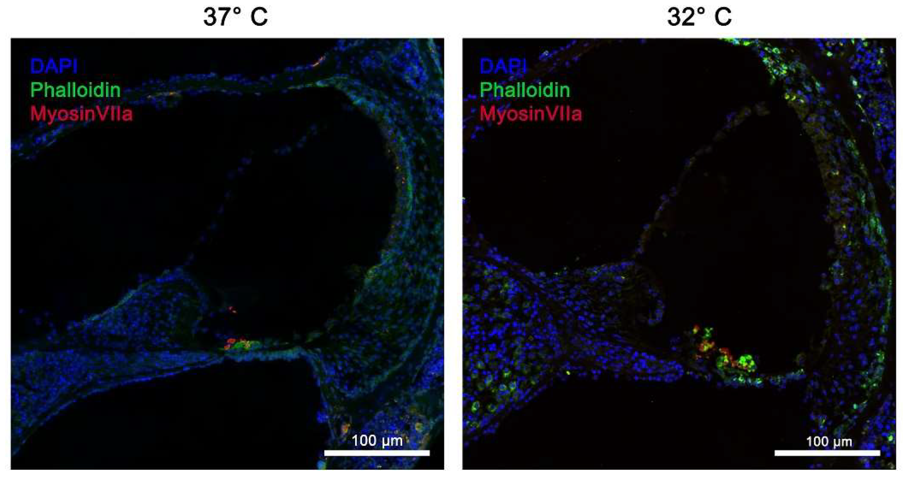 Preprints 151661 g003
