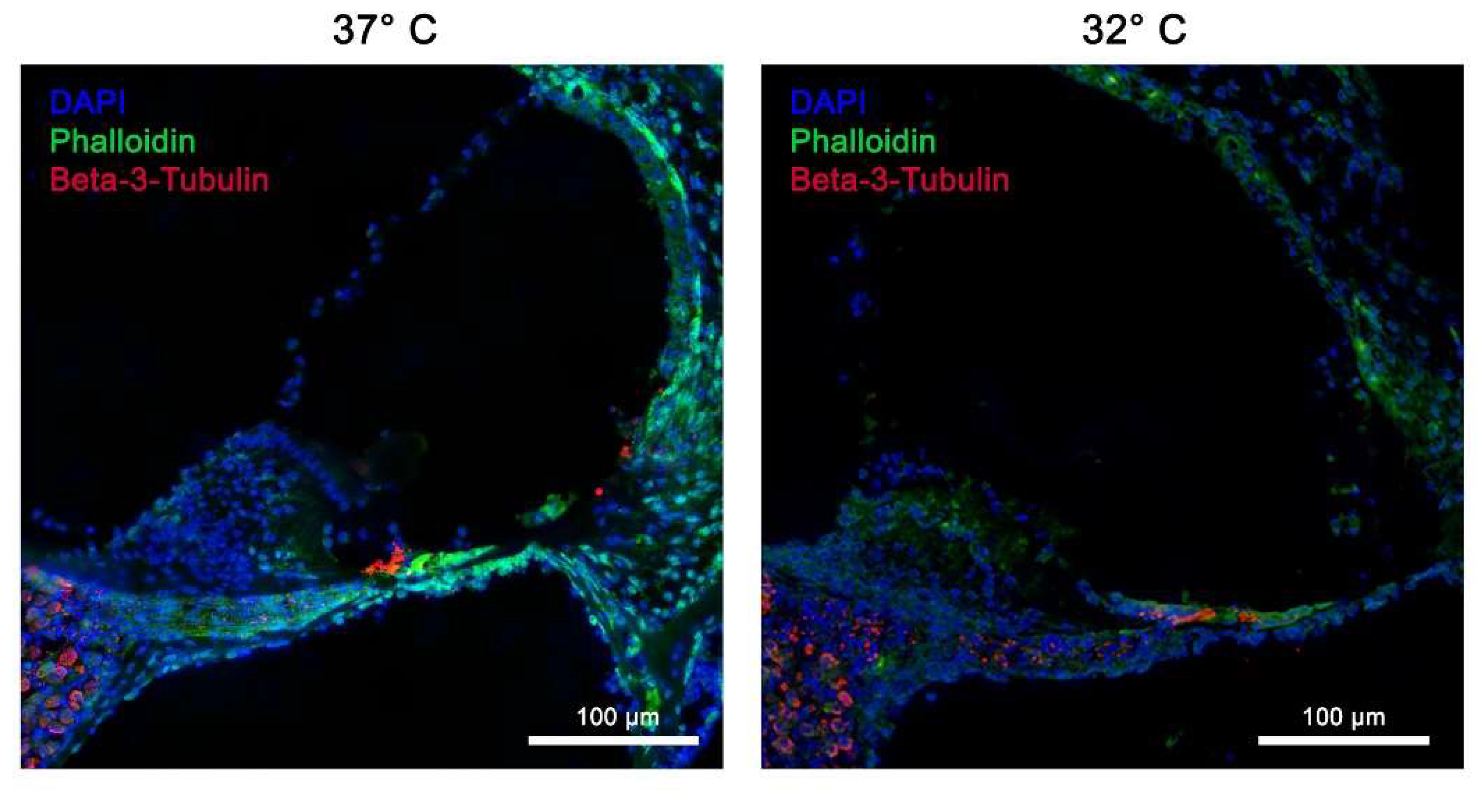 Preprints 151661 g004
