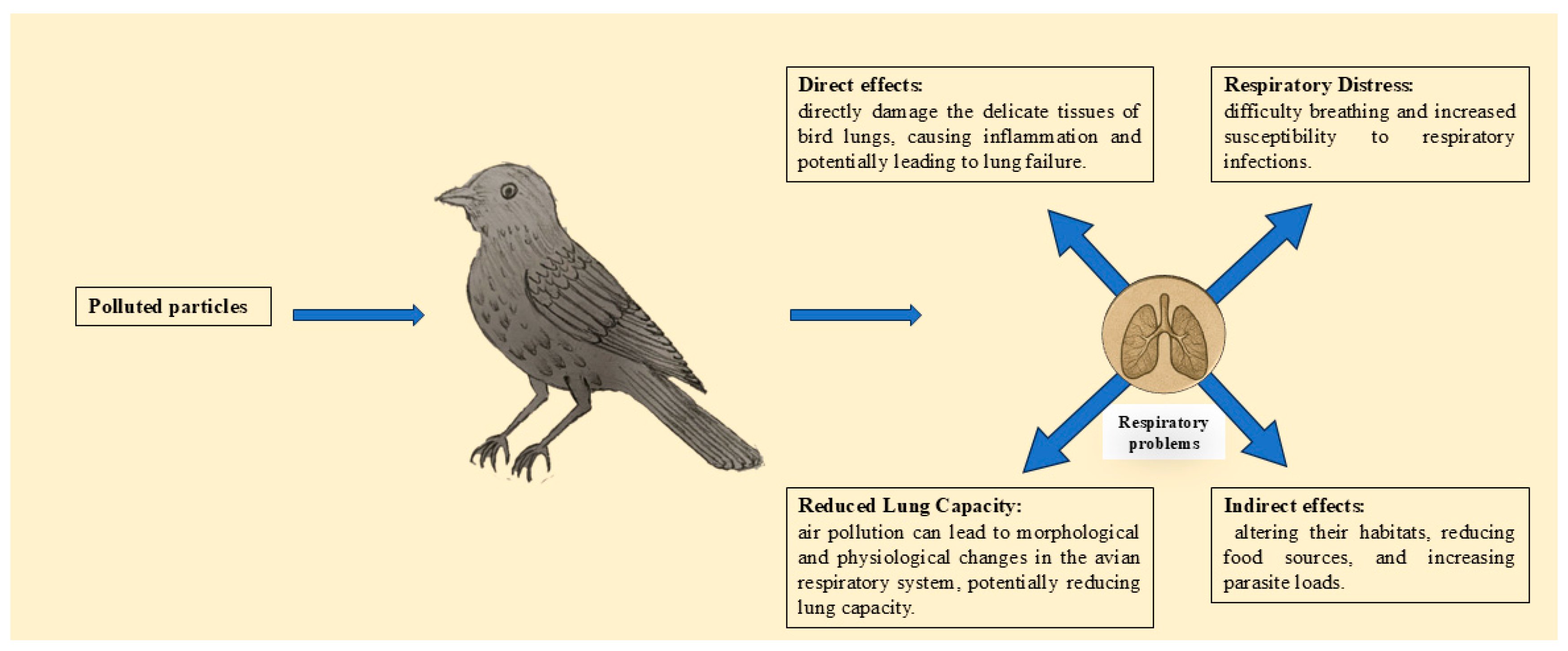 Preprints 165917 g002