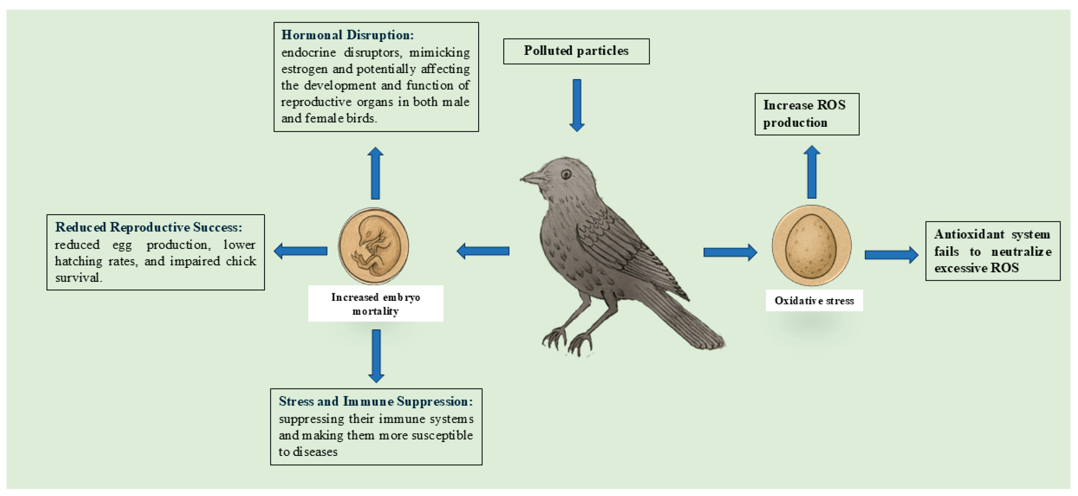 Preprints 165917 g003