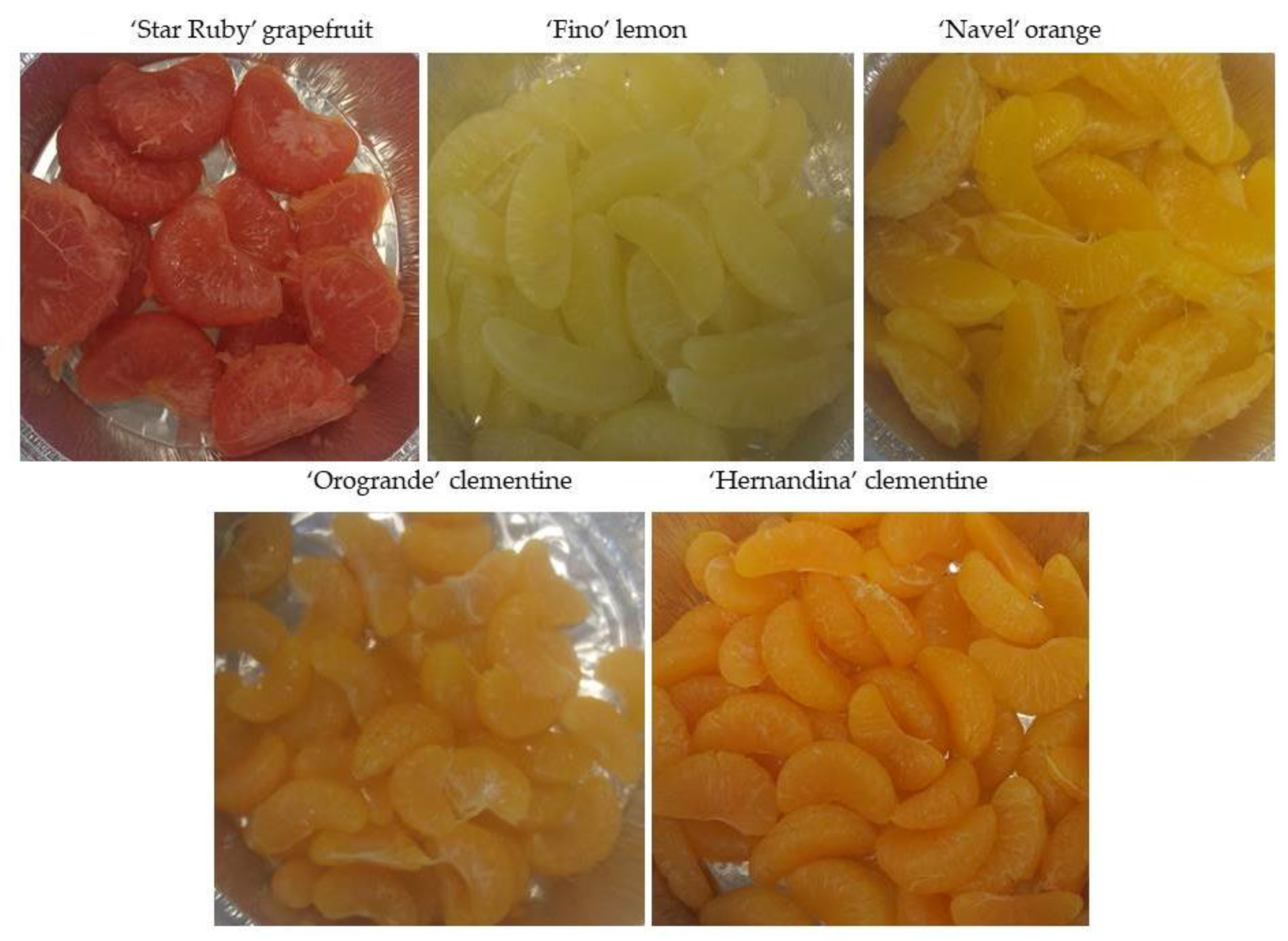 Preprints 87167 g001