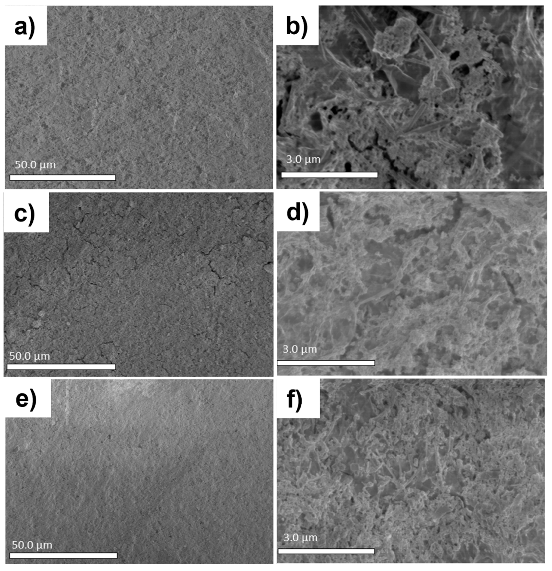 Preprints 143678 g010