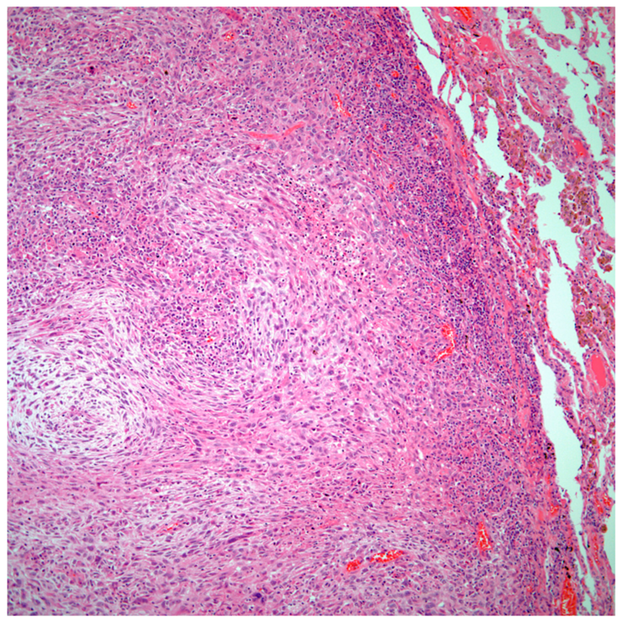 Preprints 76788 g001