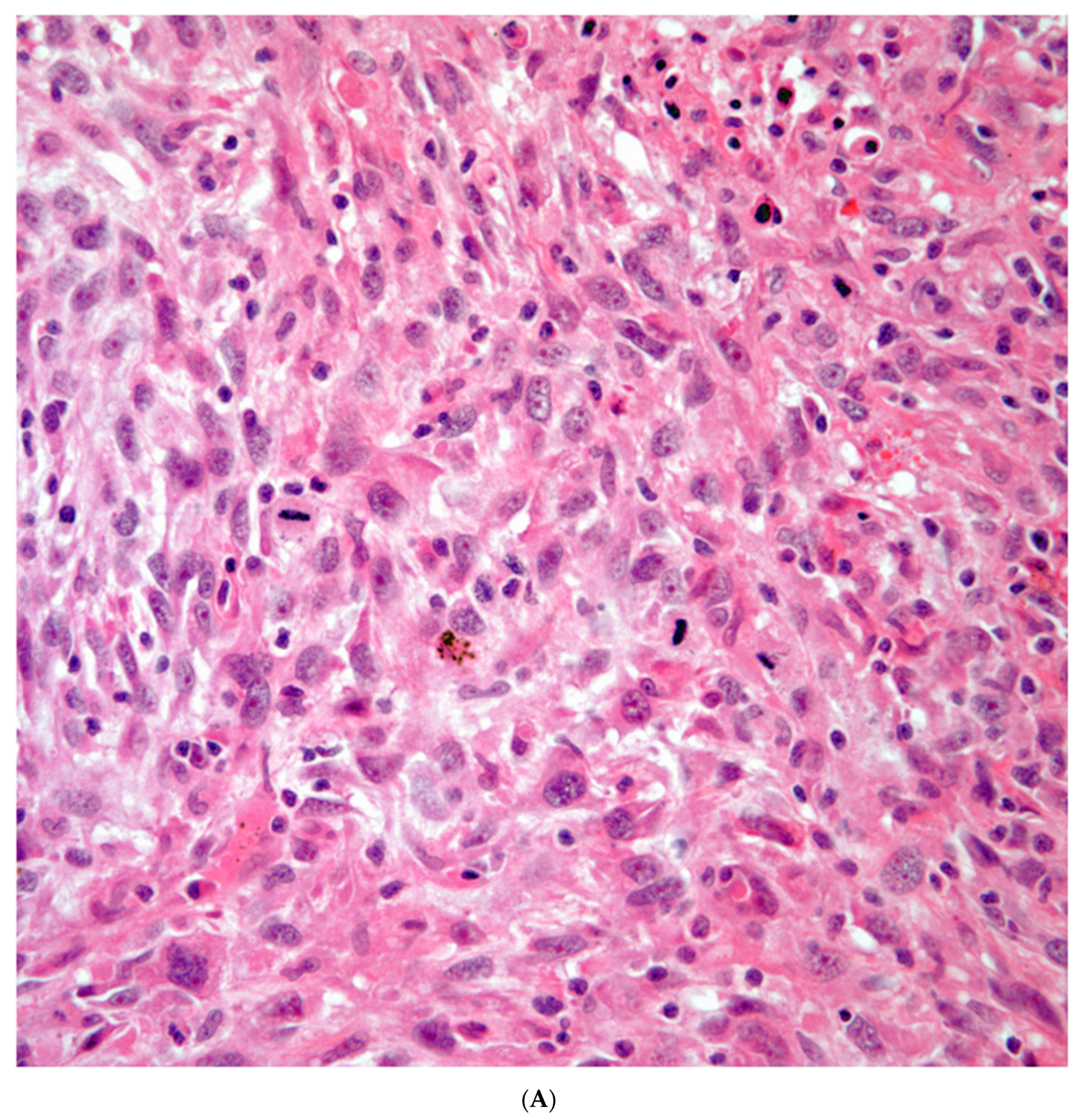 Preprints 76788 g002a