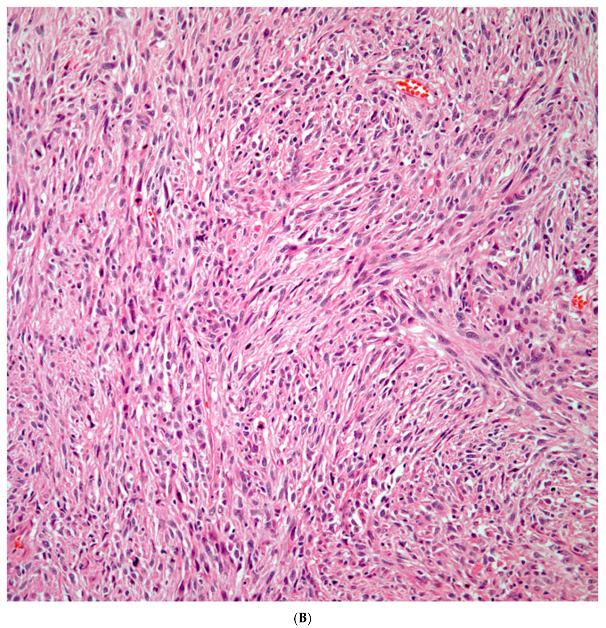 Preprints 76788 g002b