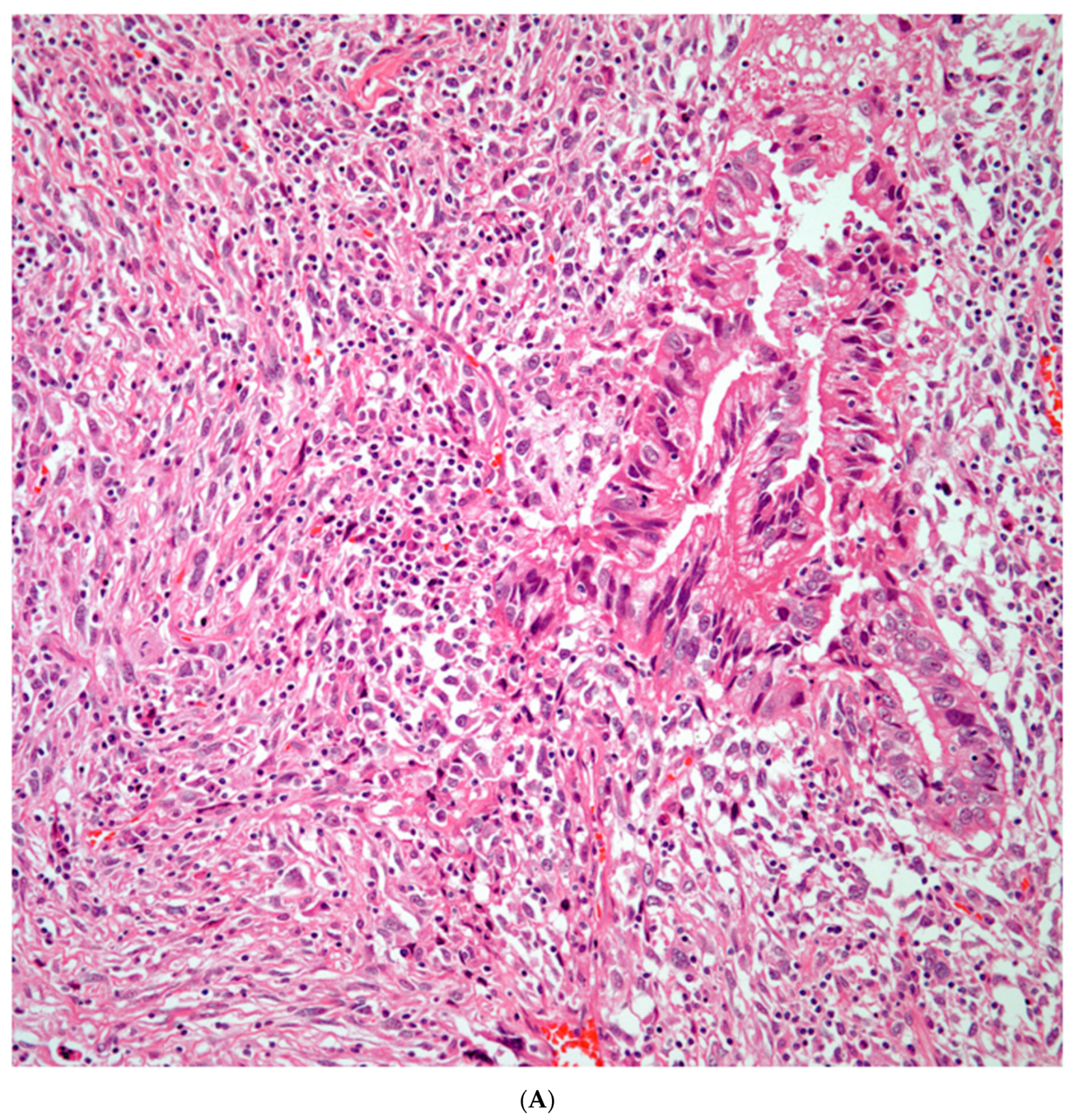 Preprints 76788 g003a