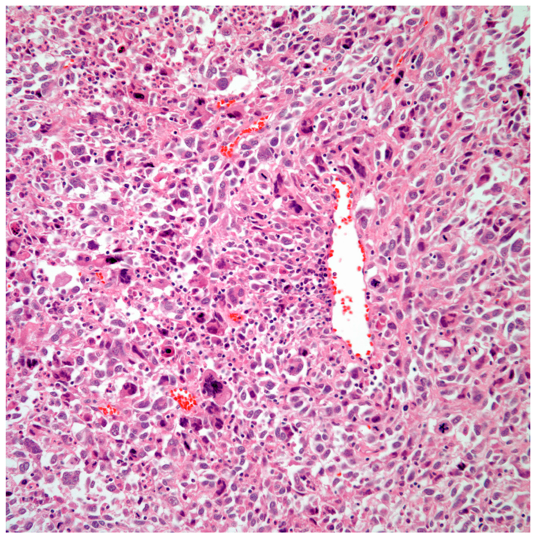 Preprints 76788 g004