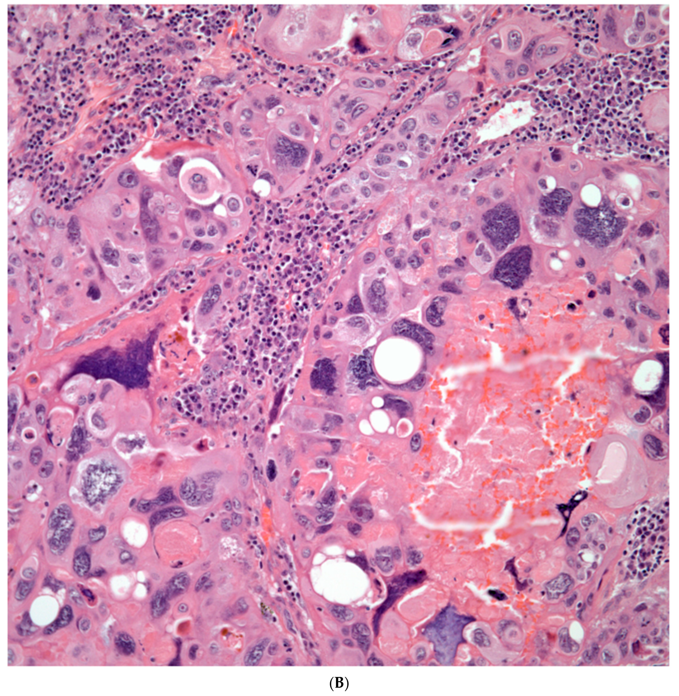 Preprints 76788 g005b