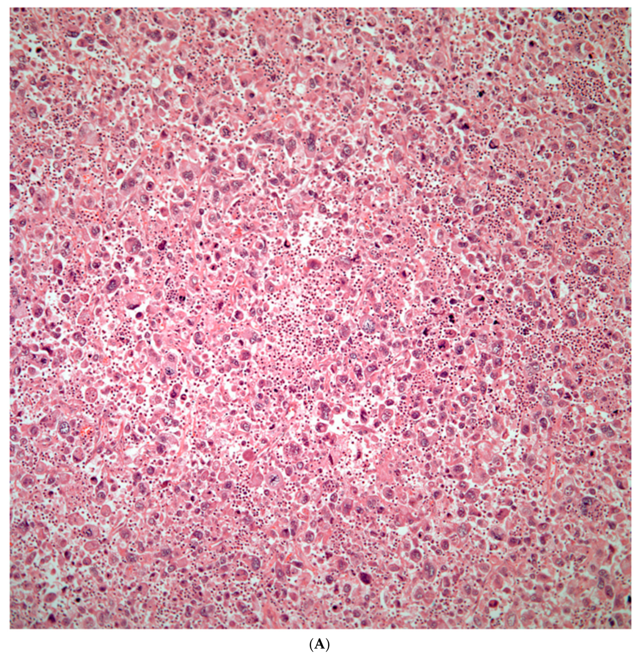 Preprints 76788 g006a