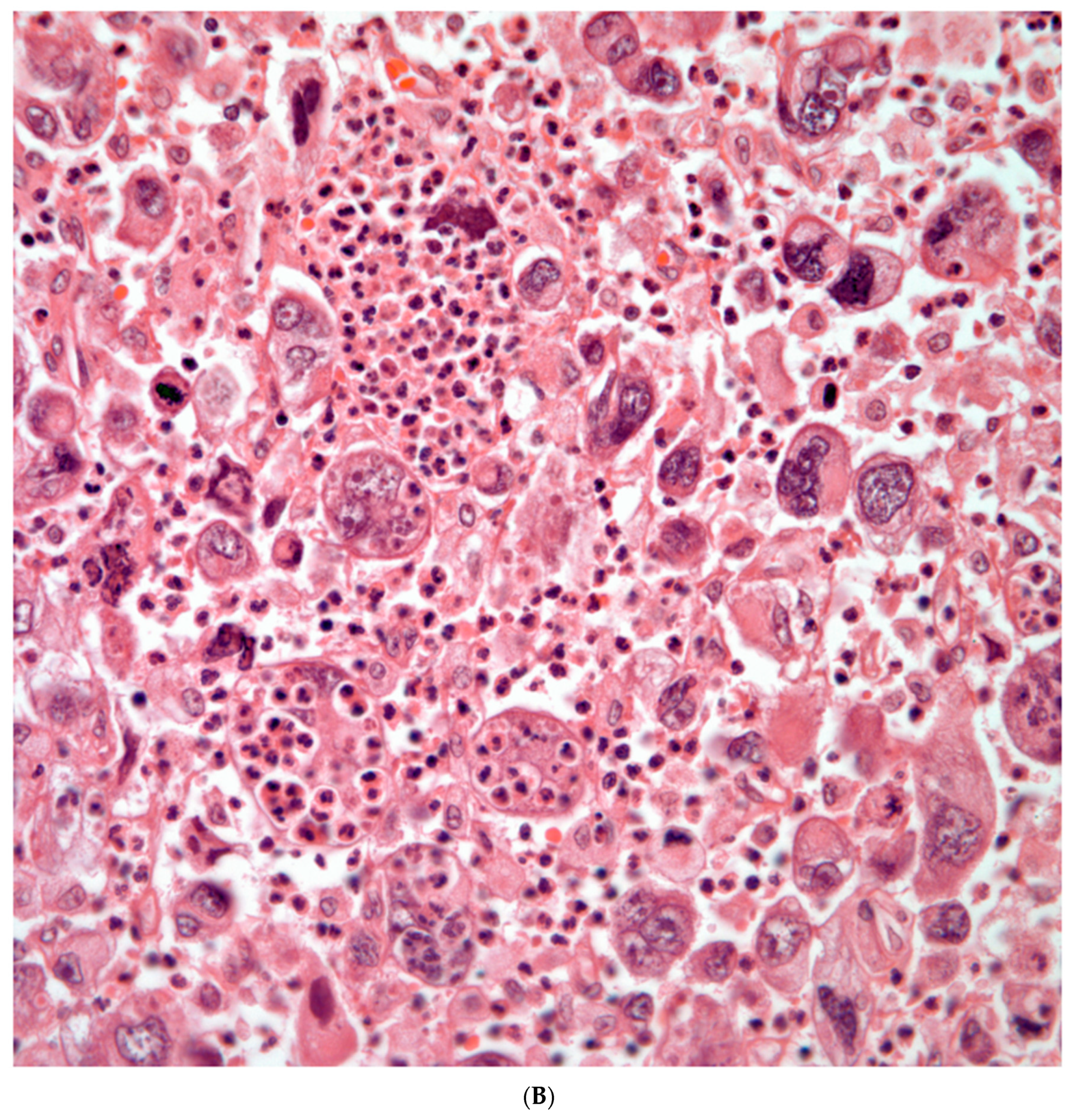 Preprints 76788 g006b