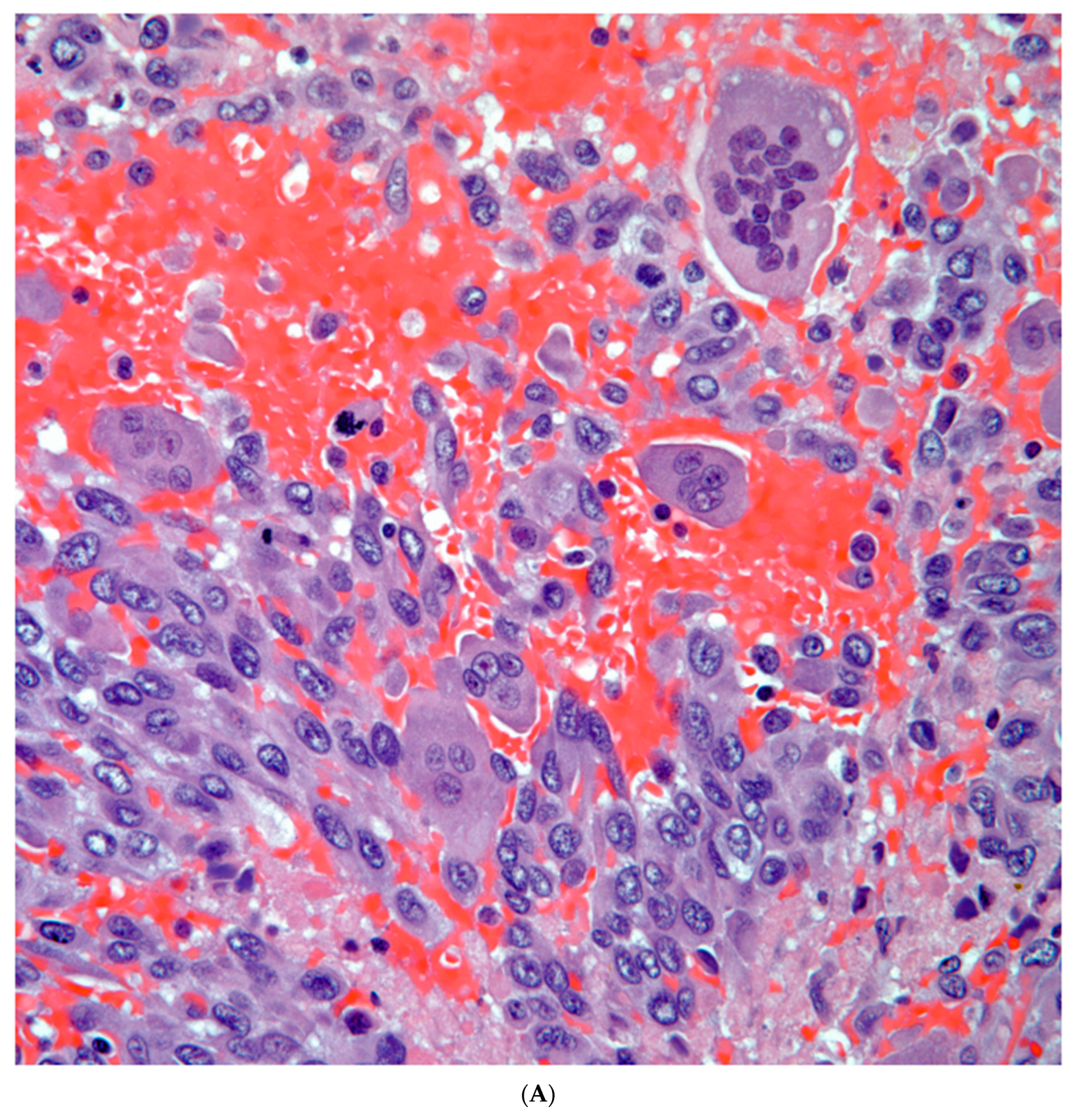 Preprints 76788 g007a