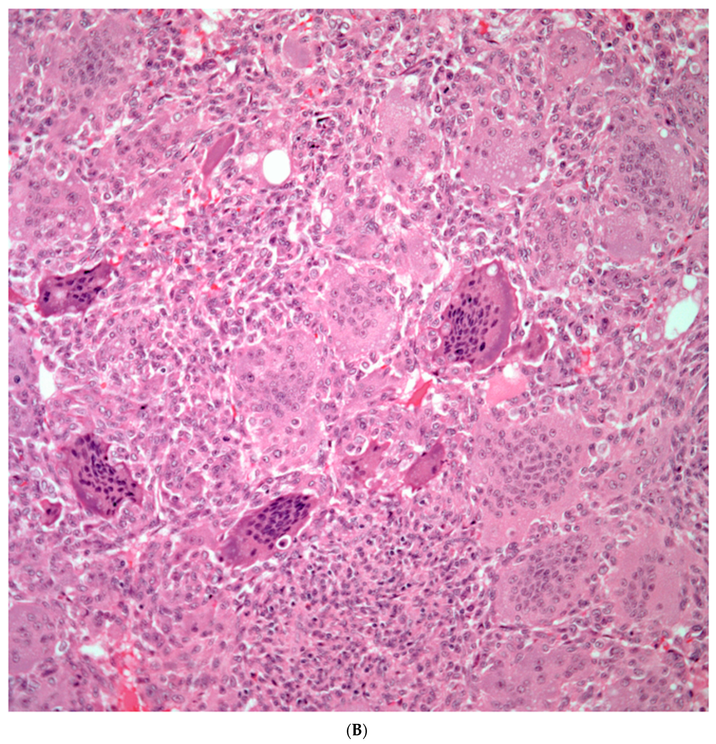 Preprints 76788 g007b