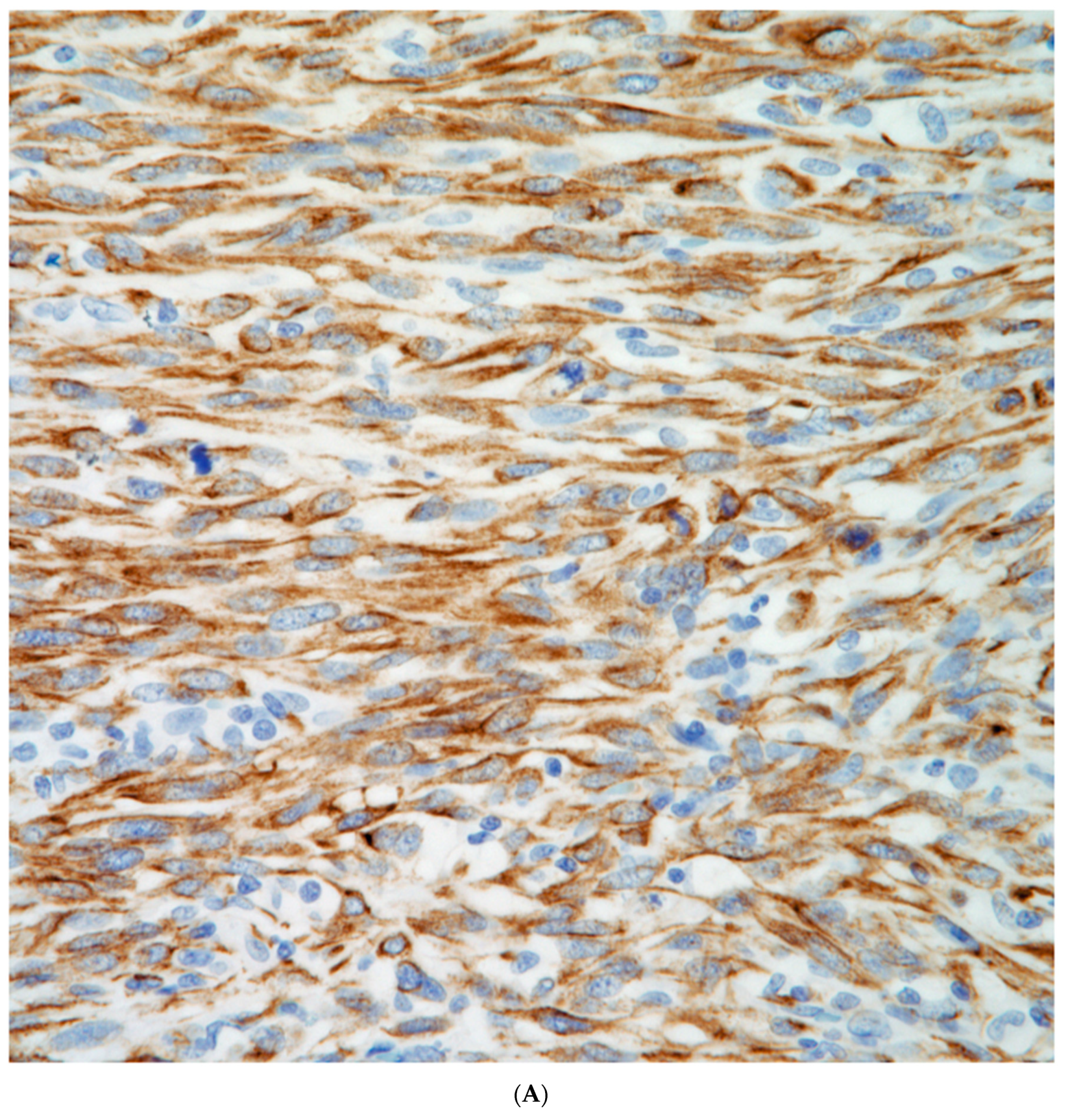 Preprints 76788 g008a