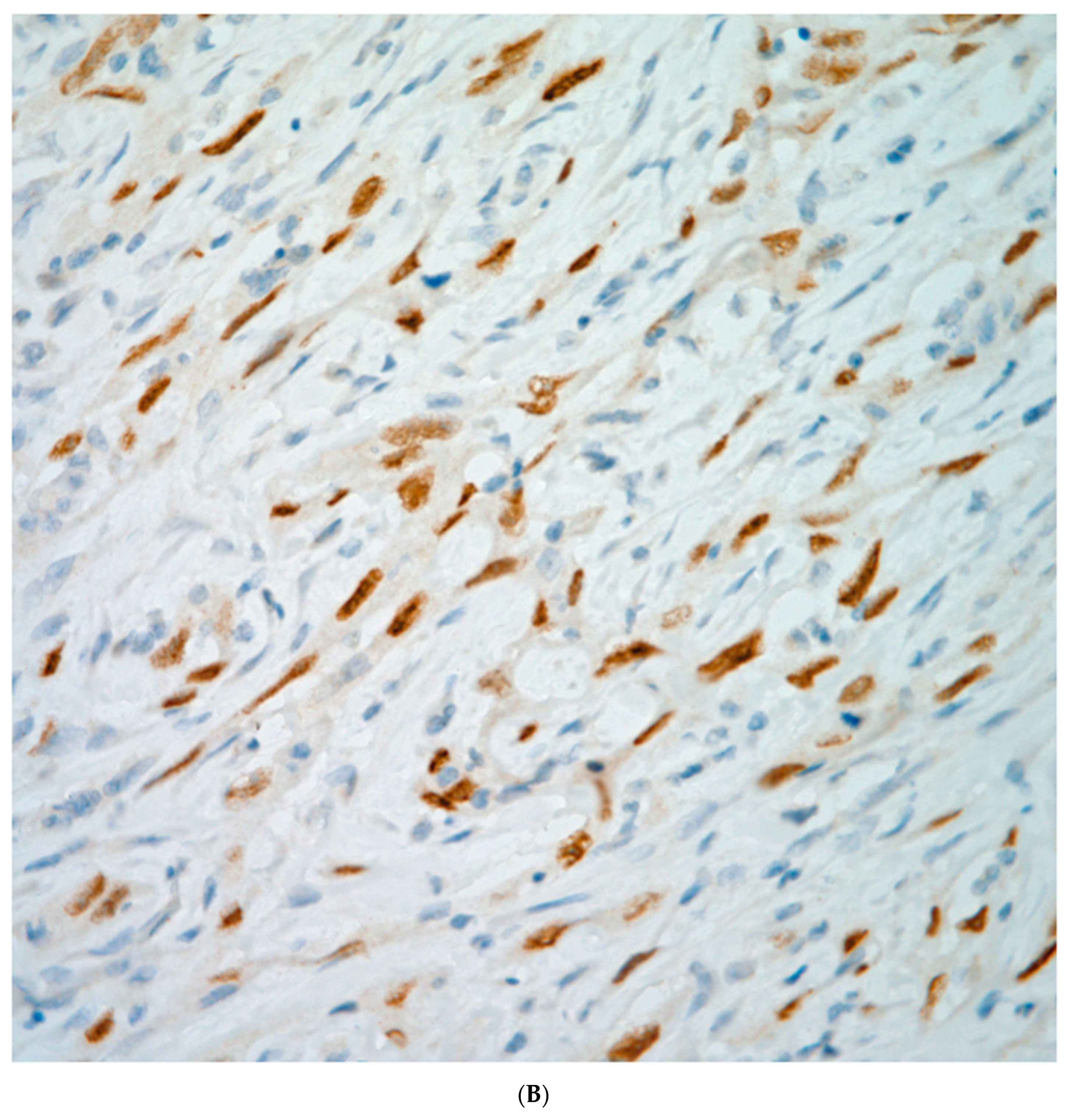 Preprints 76788 g008b