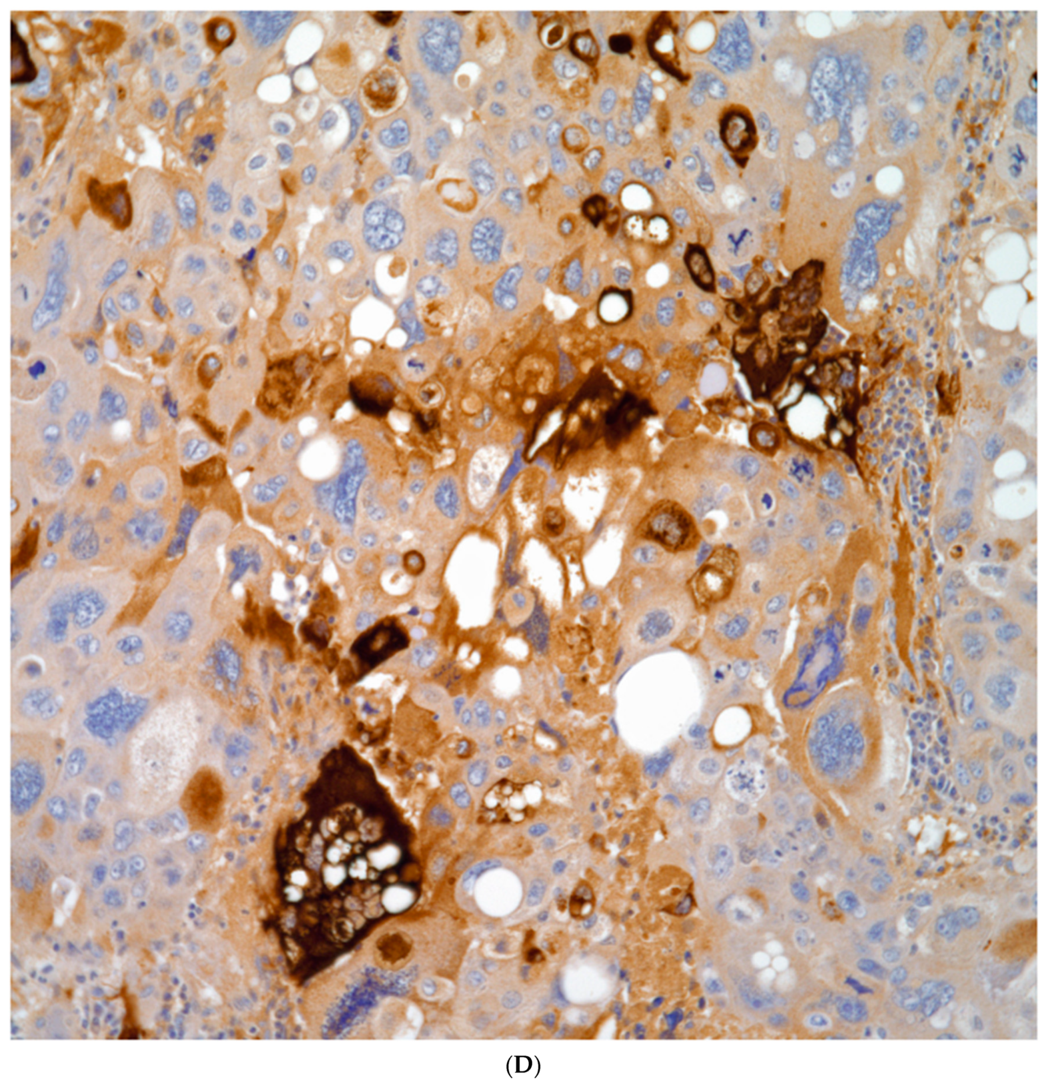 Preprints 76788 g008d