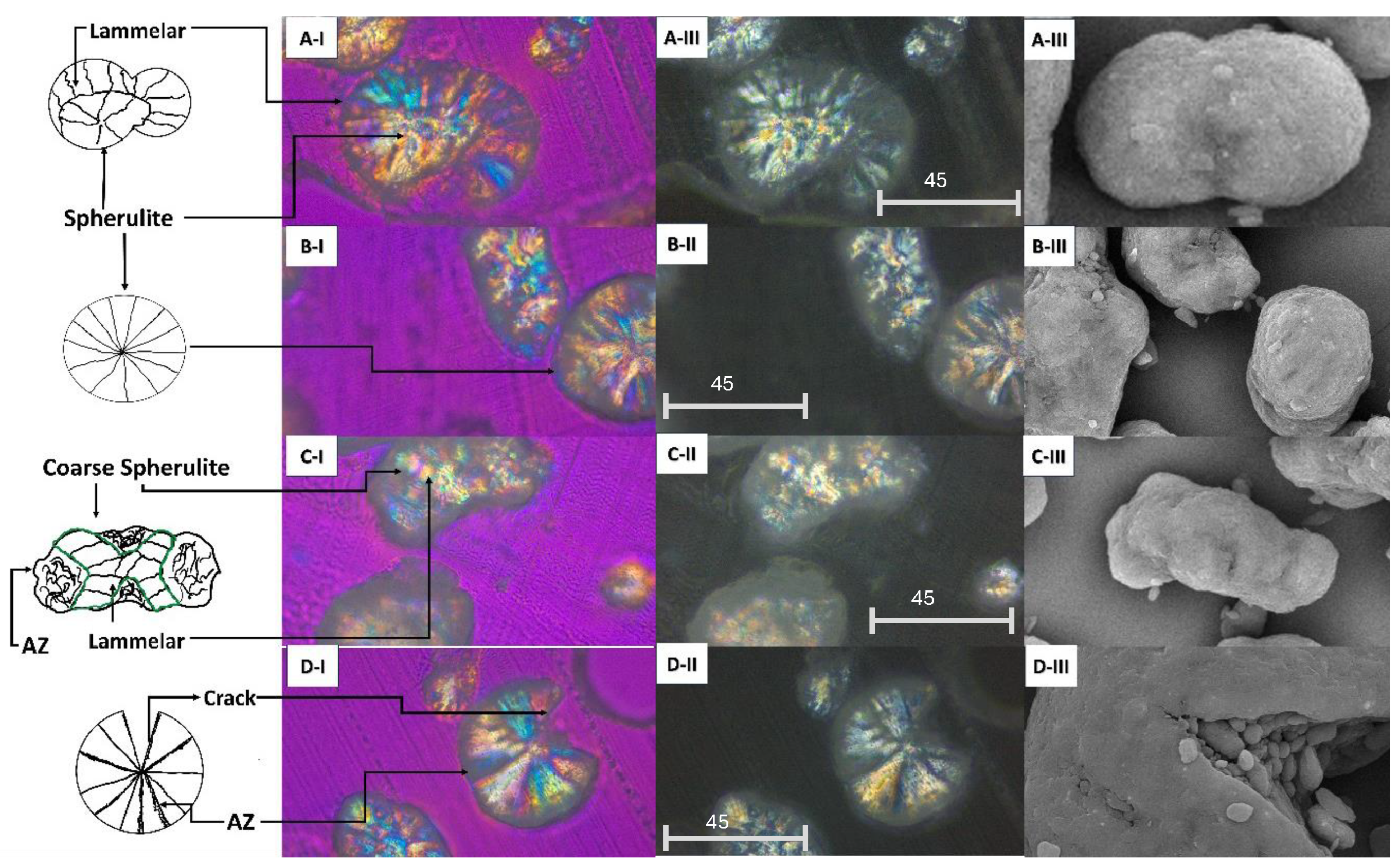 Preprints 146674 g006