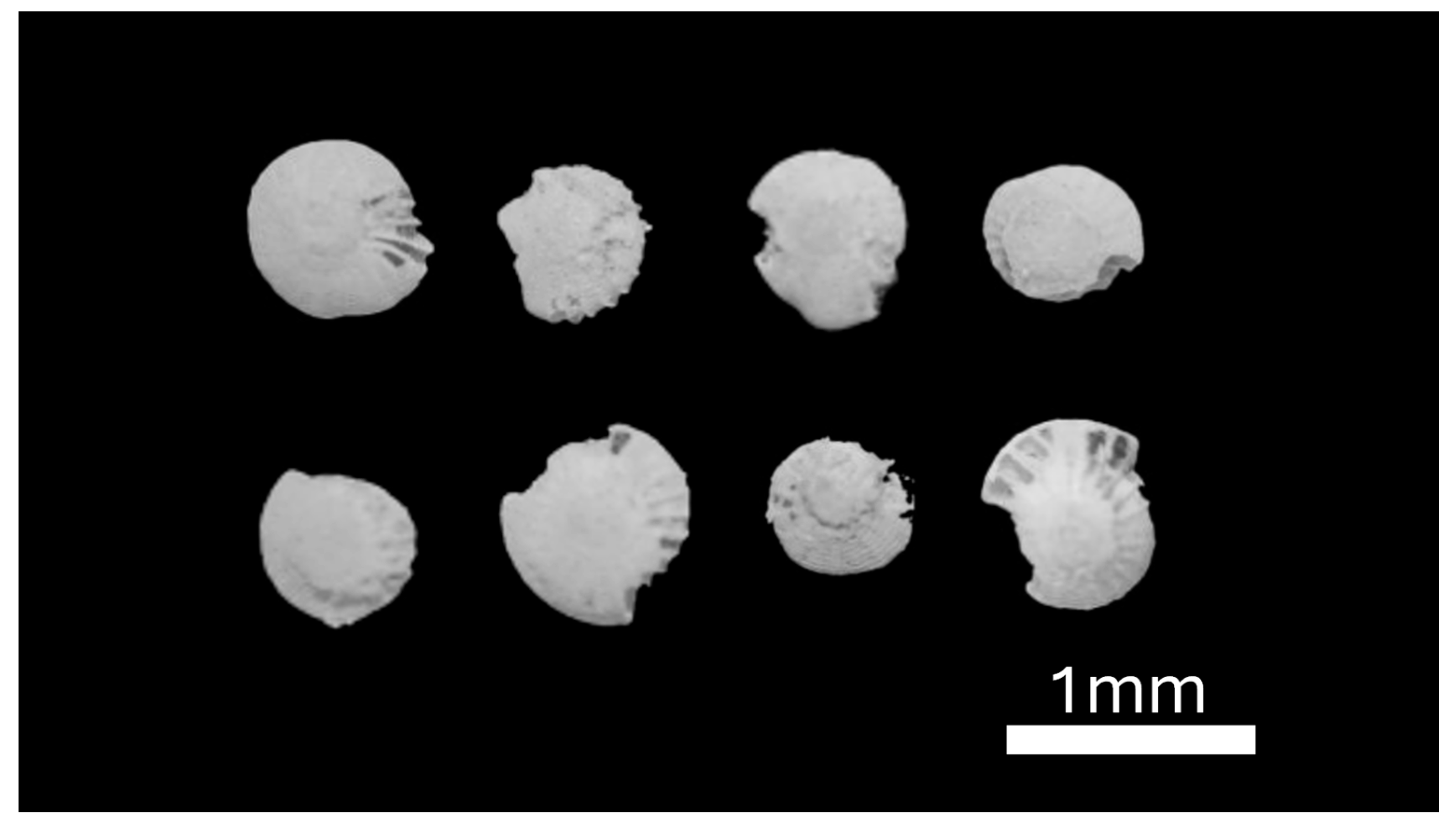 Preprints 190776 g008