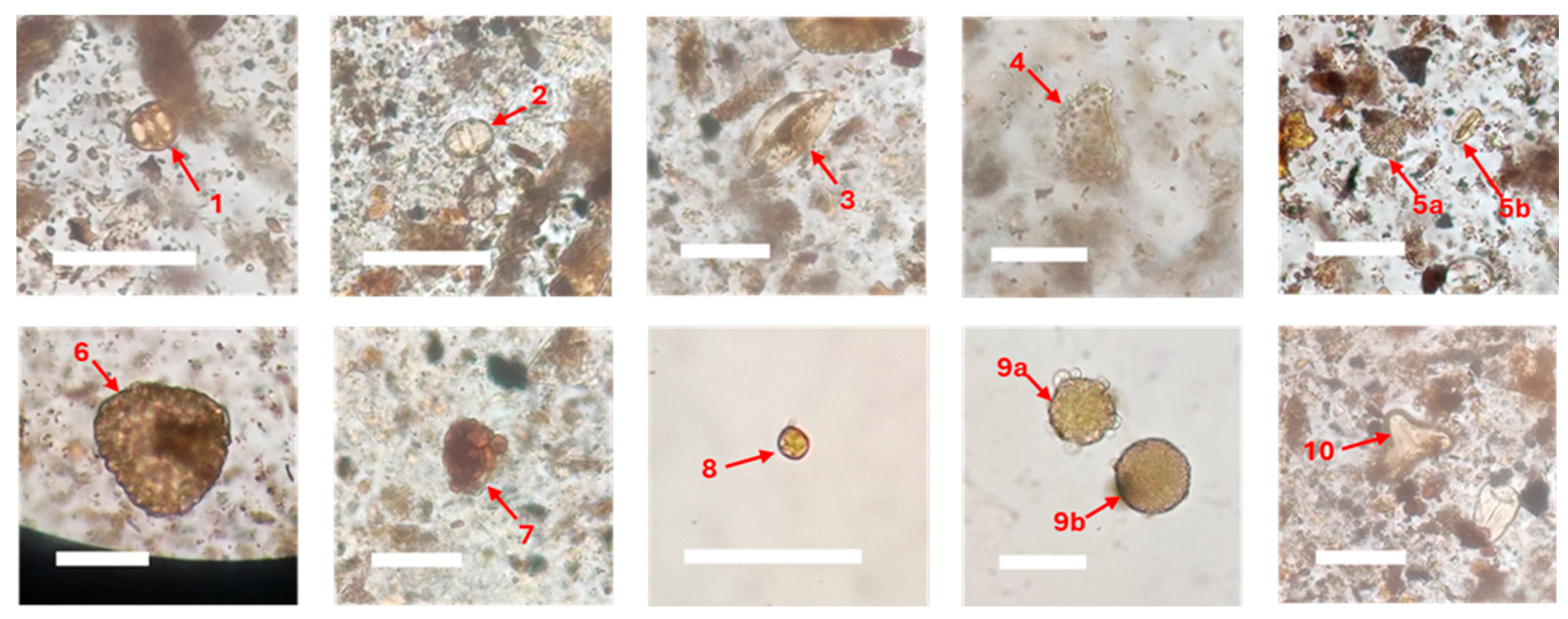 Preprints 190776 g009