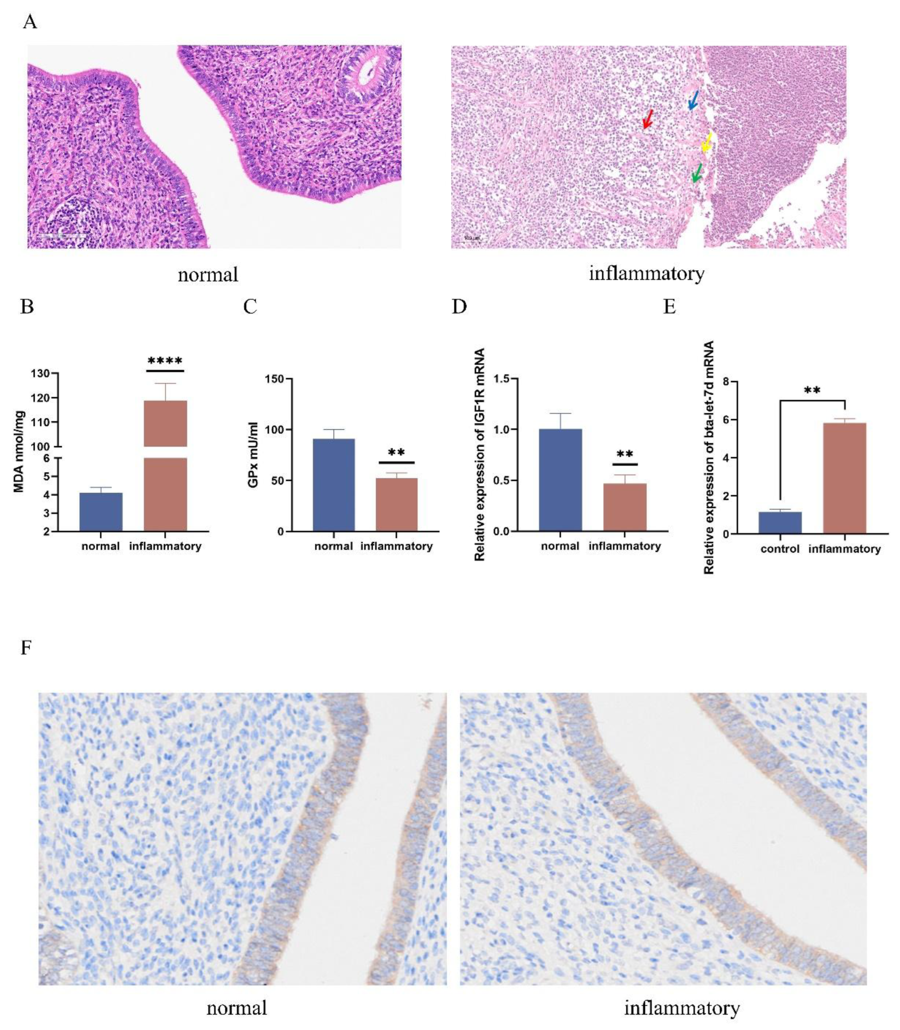 Preprints 147490 g001
