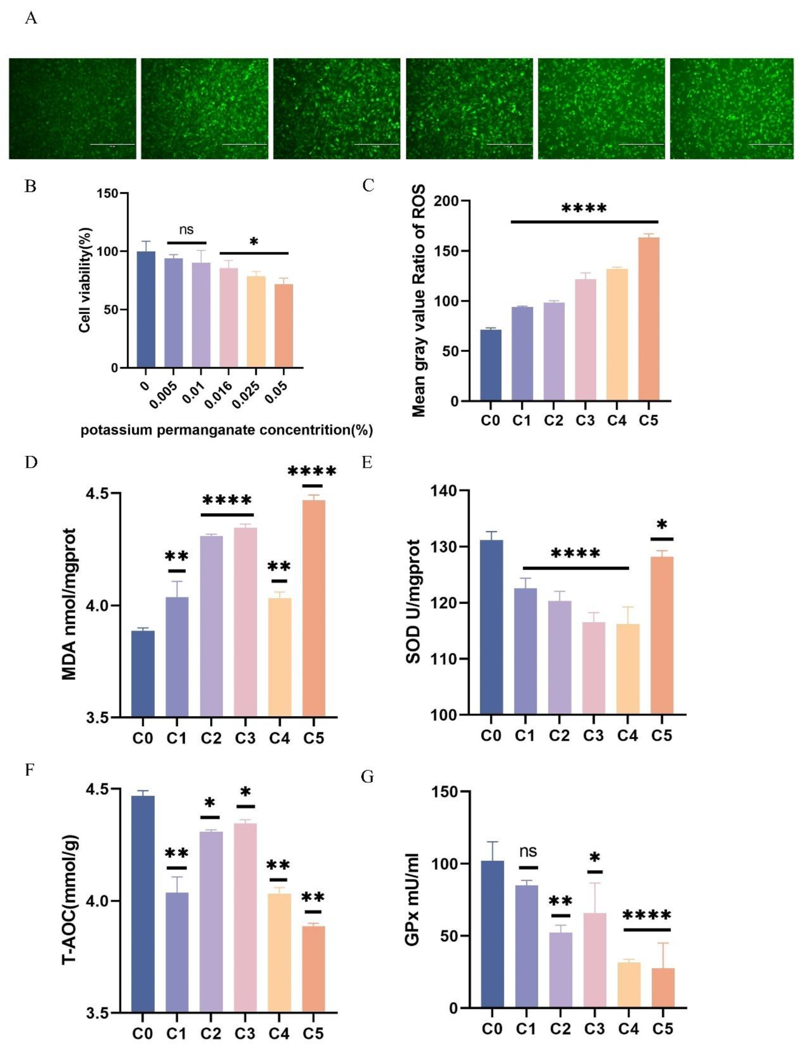 Preprints 147490 g002