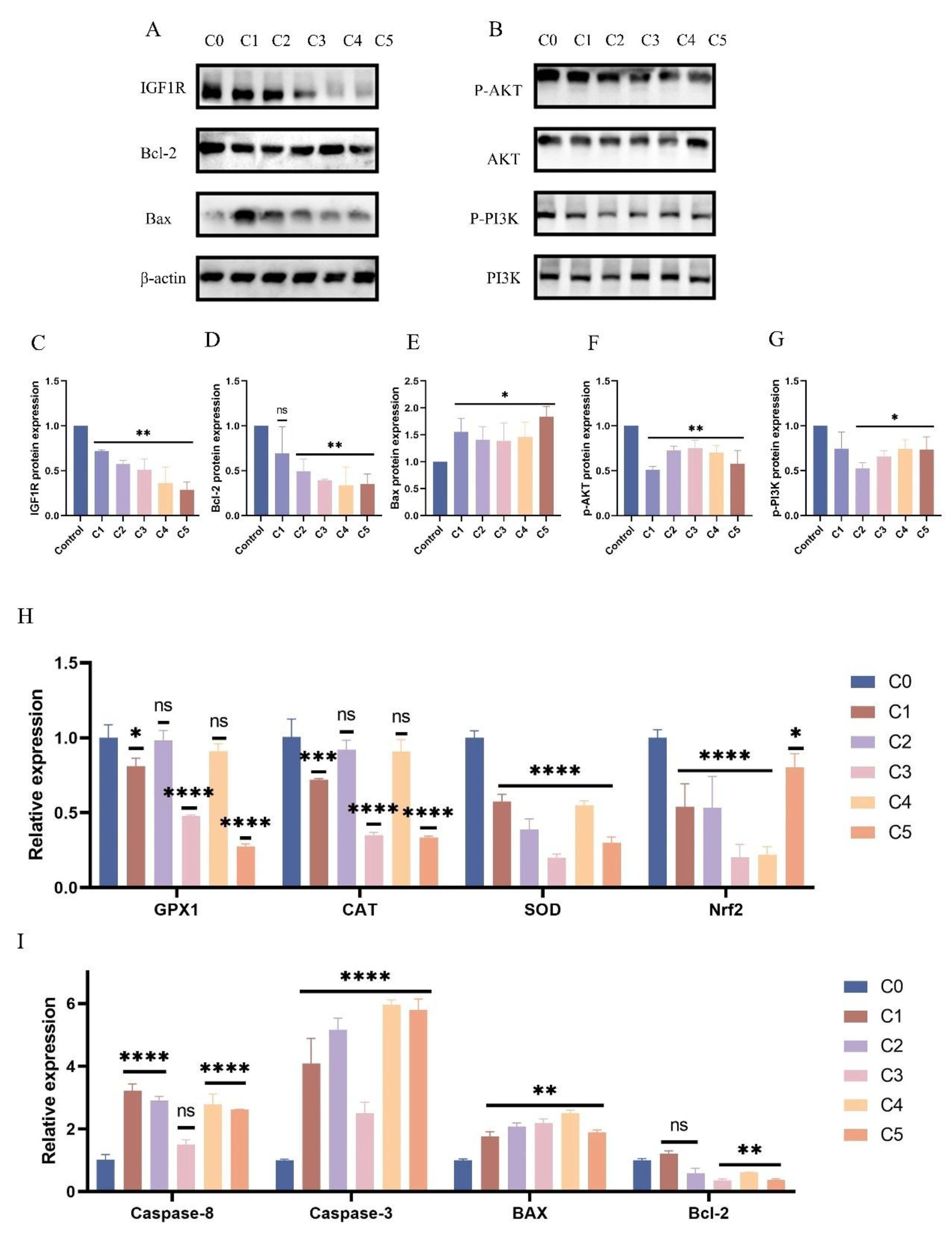 Preprints 147490 g003a
