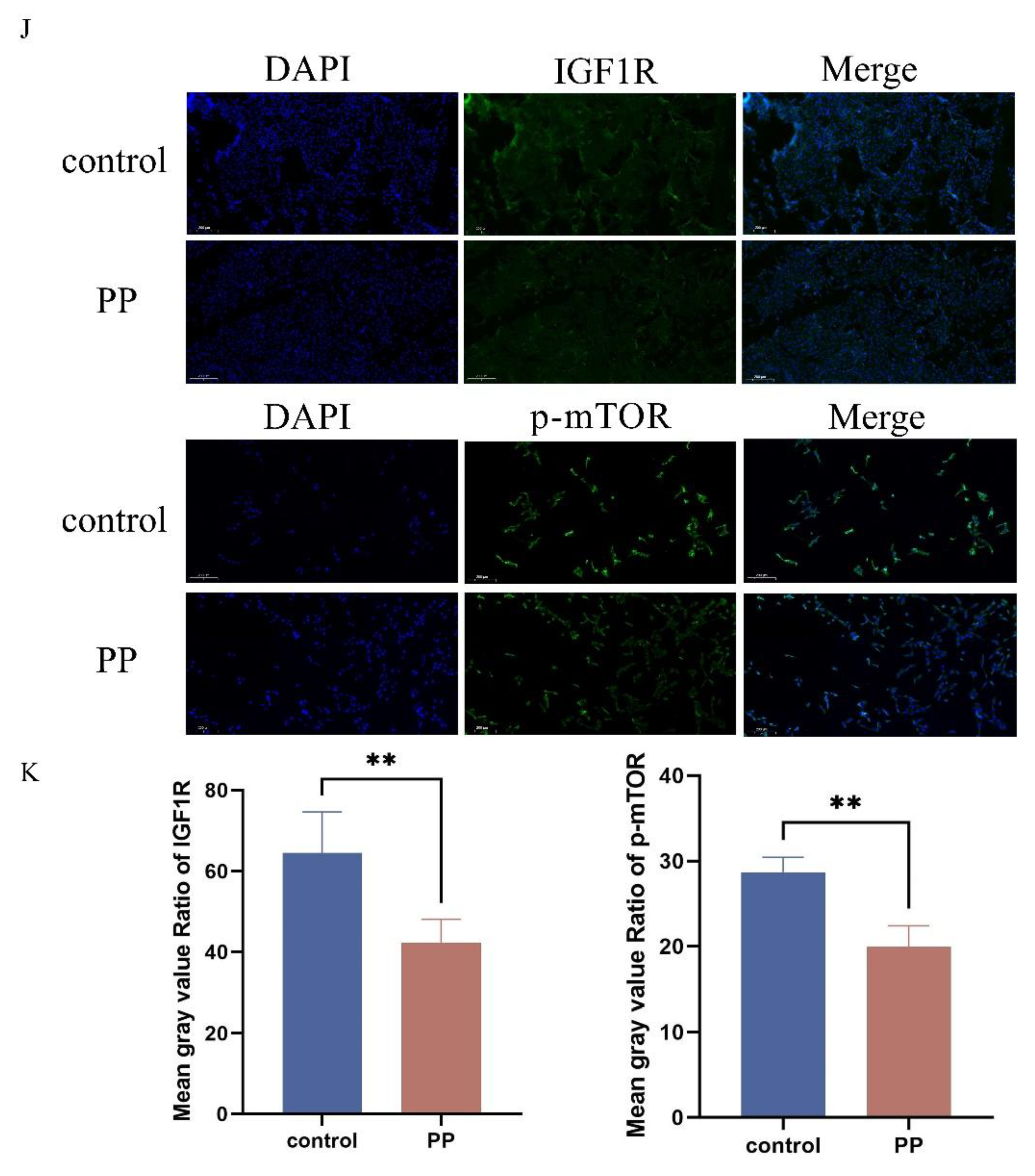 Preprints 147490 g003b