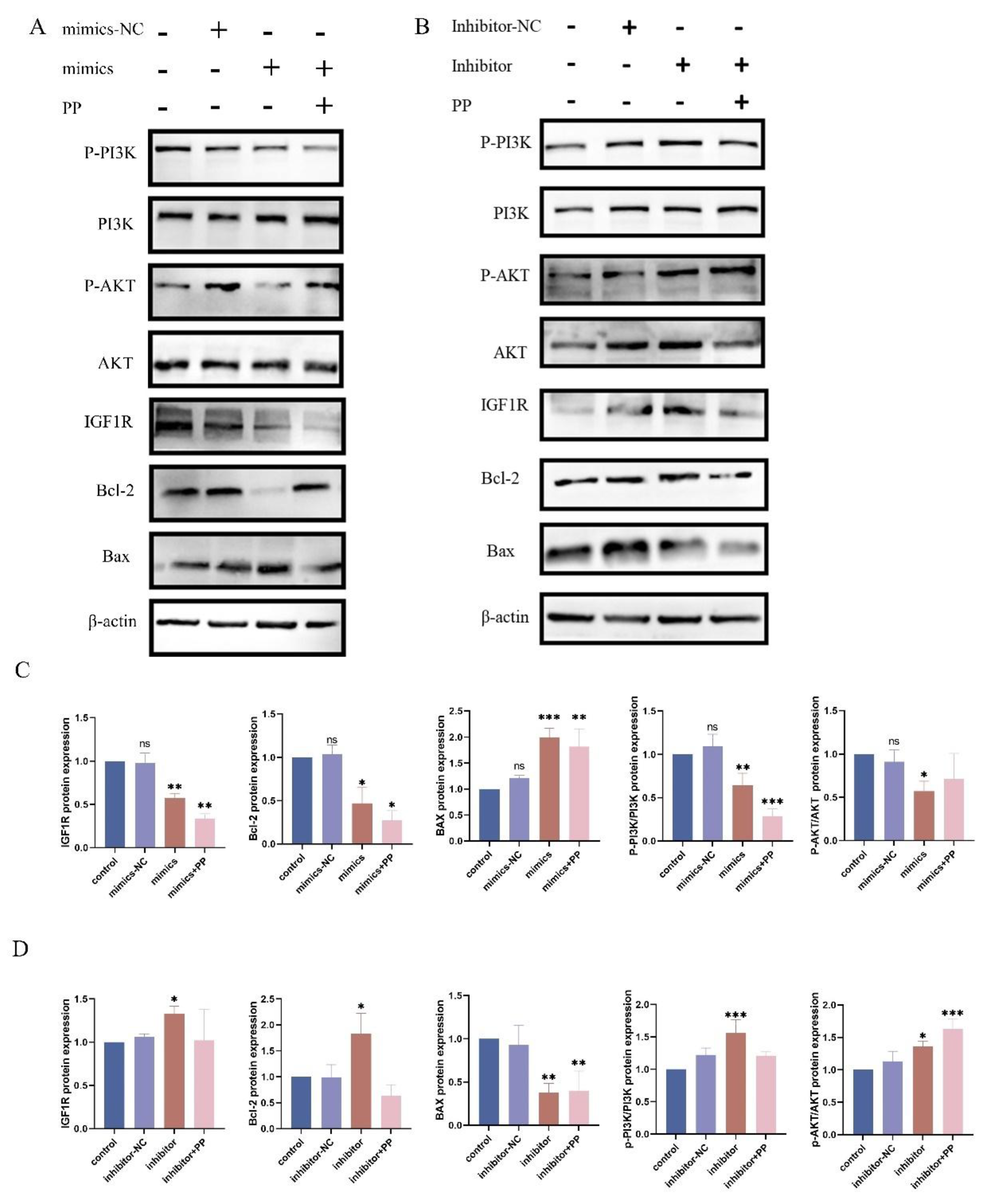 Preprints 147490 g005