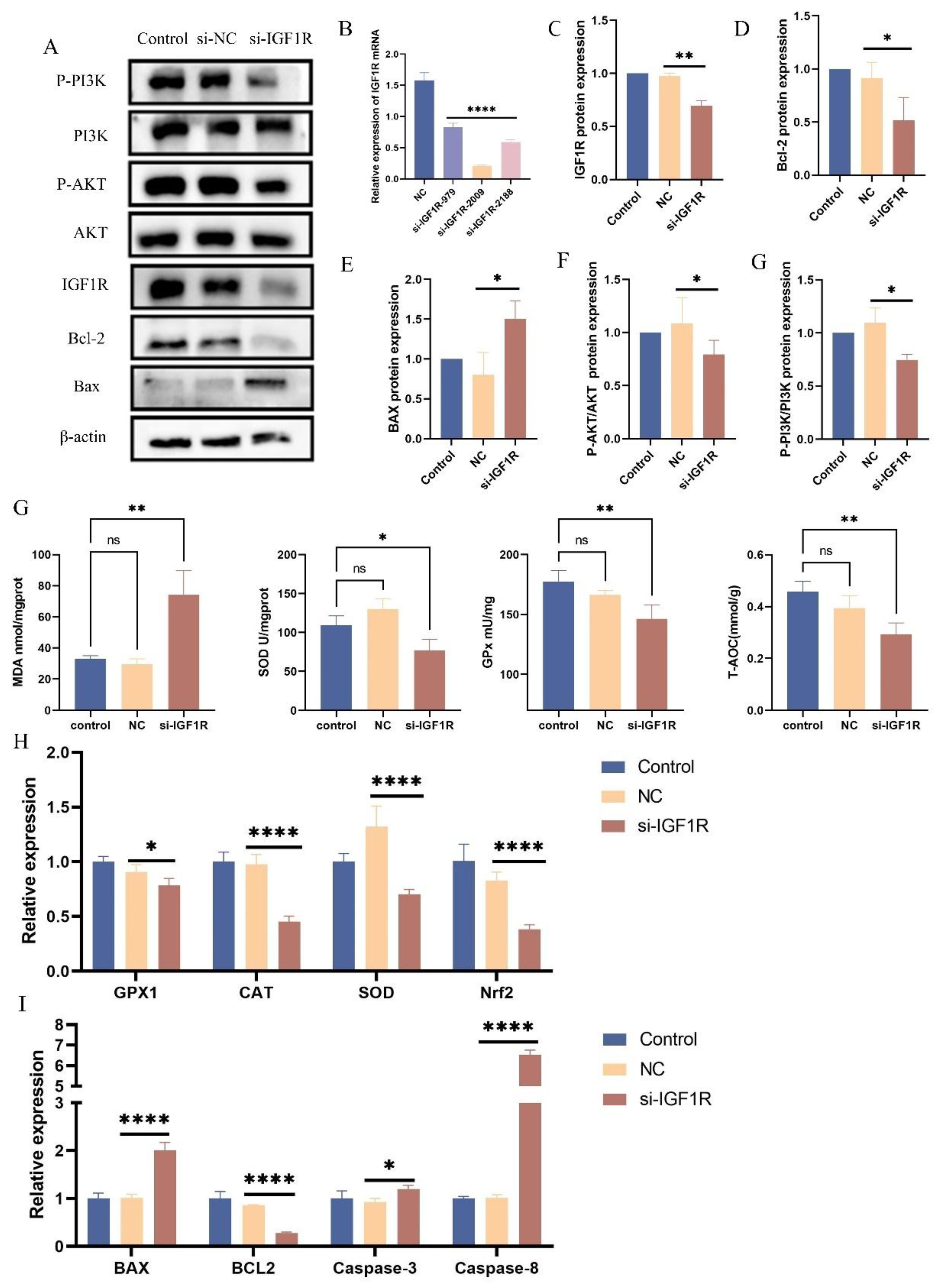 Preprints 147490 g007