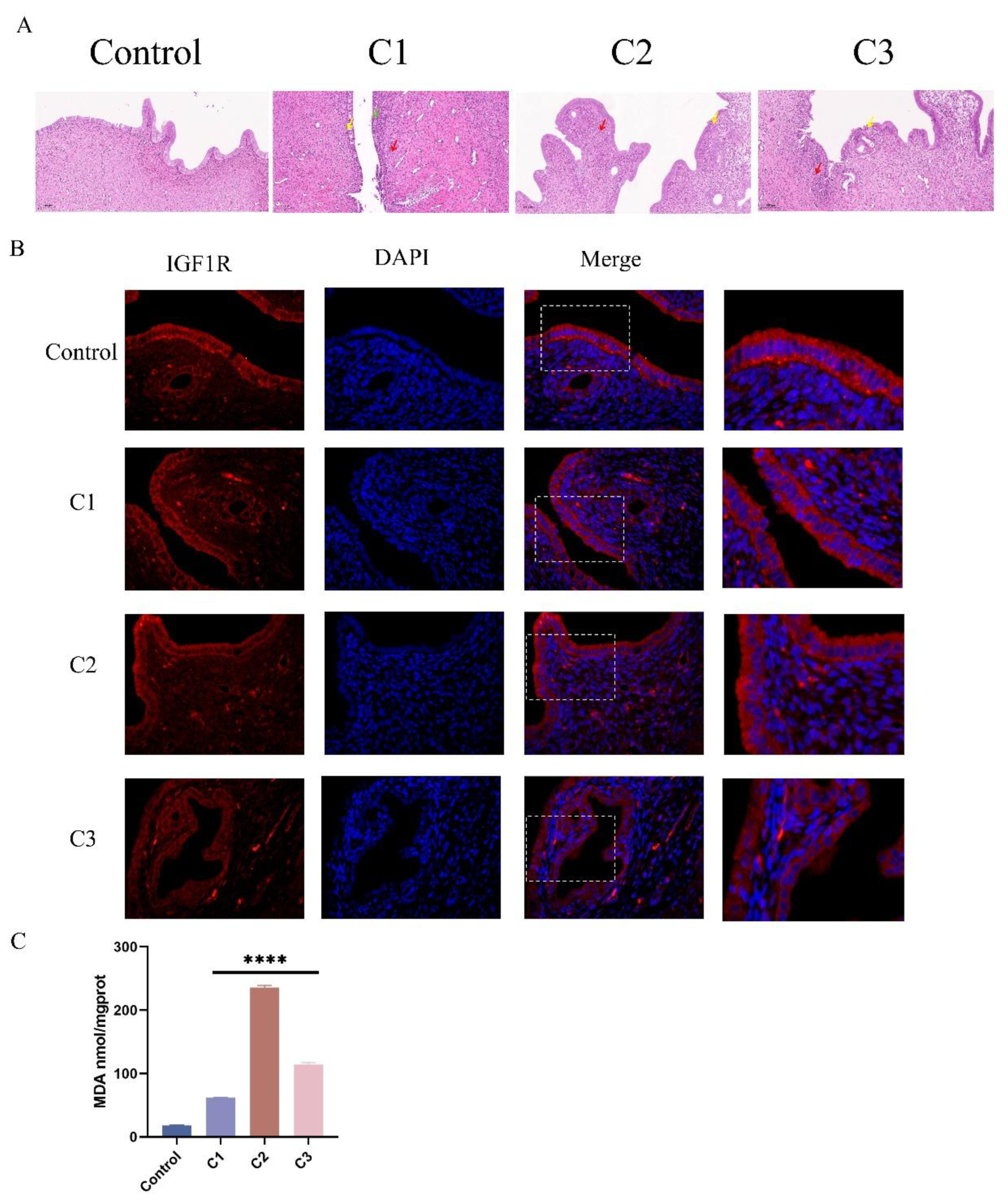 Preprints 147490 g008