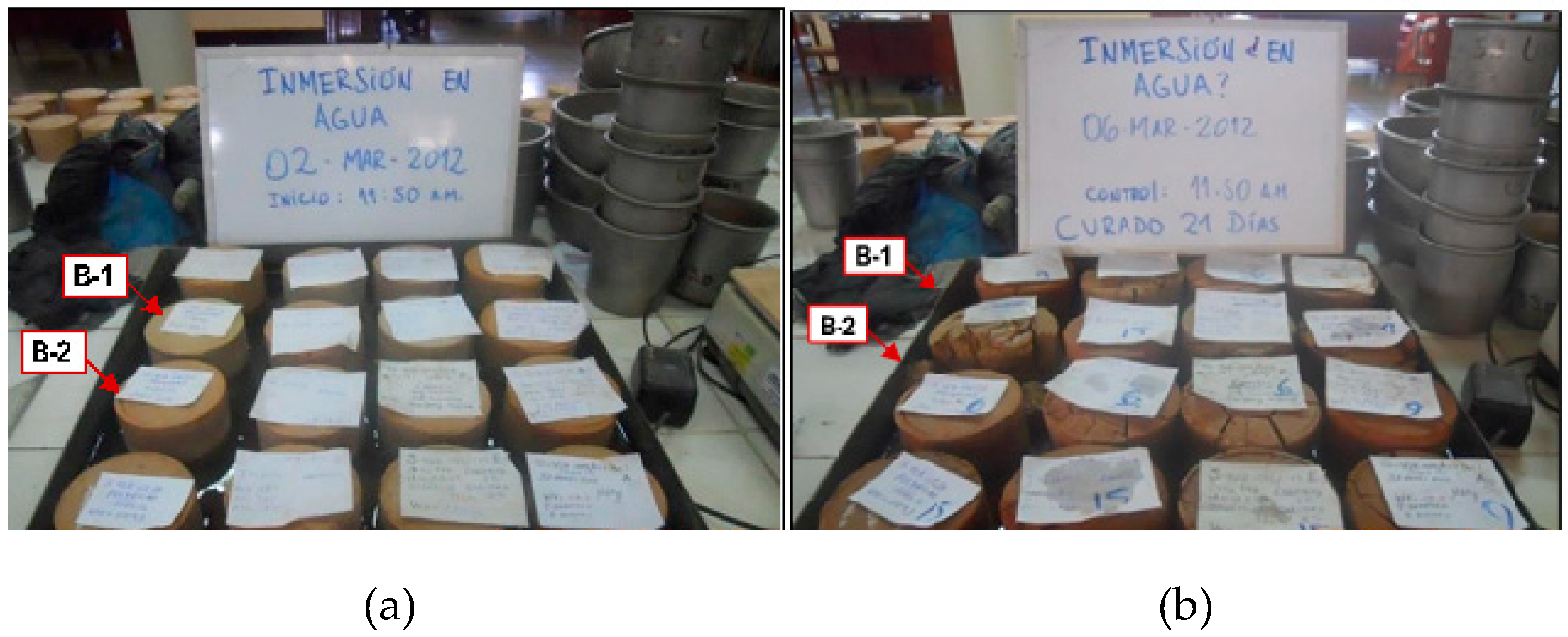 Preprints 148581 g001