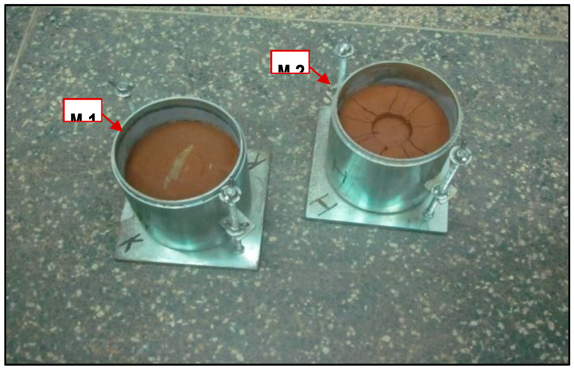 Preprints 148581 g002