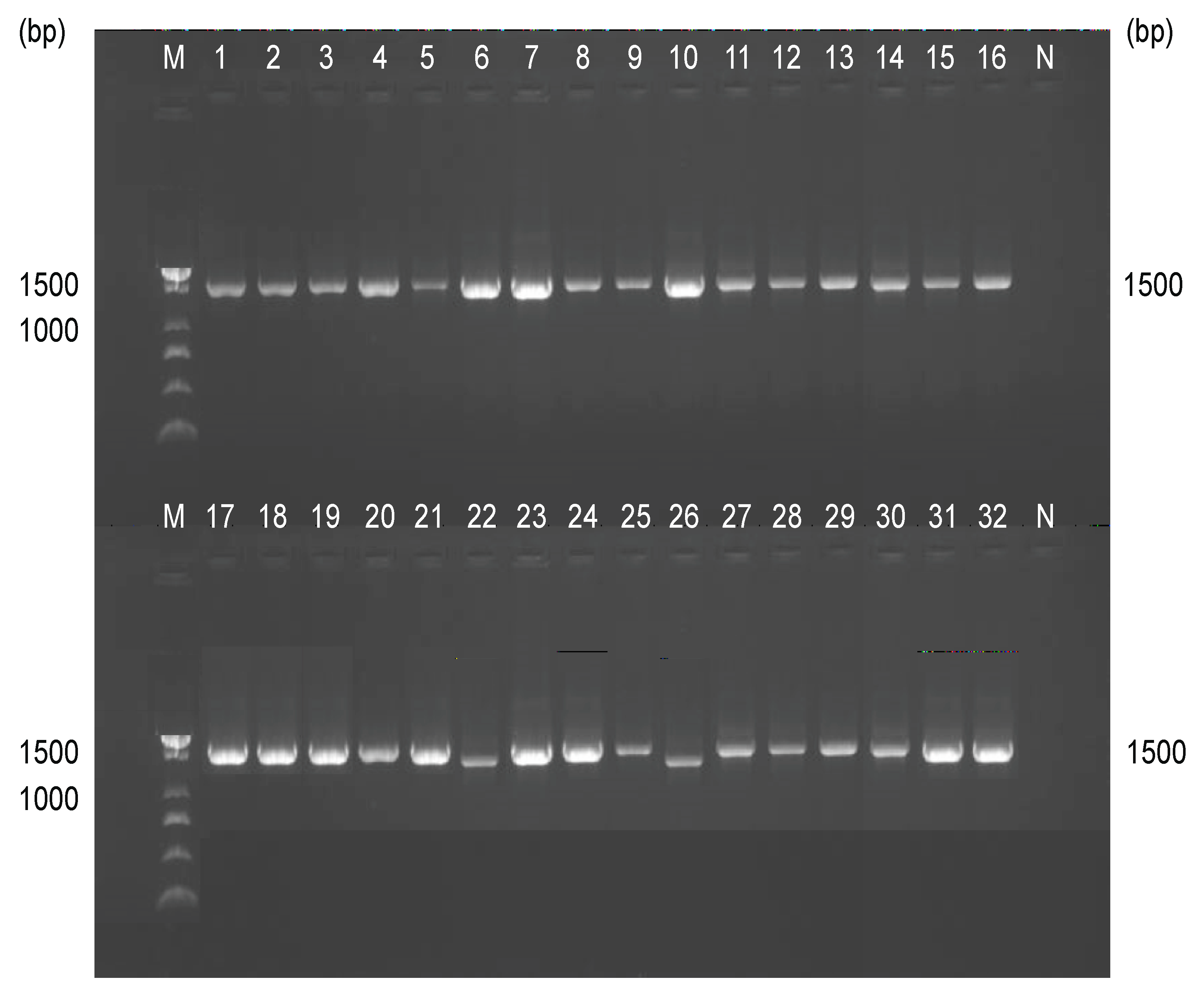 Preprints 227248 g003