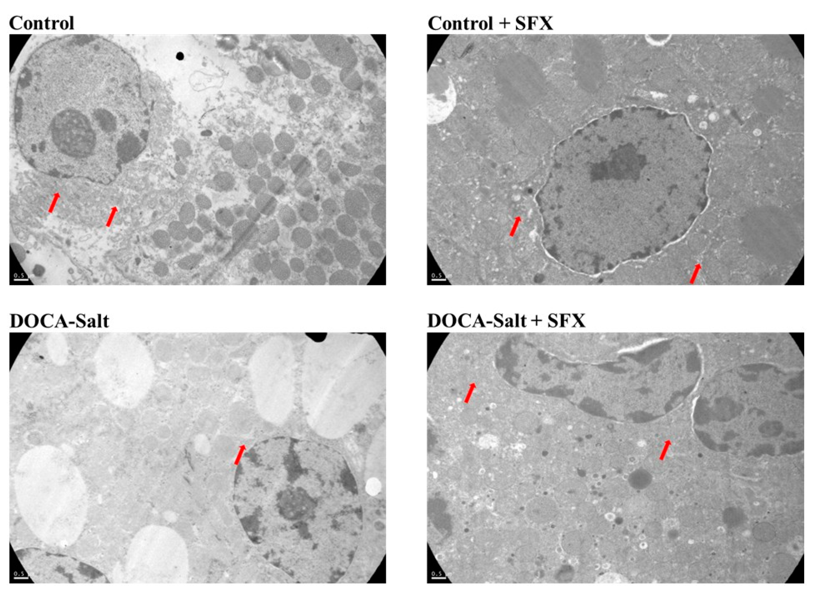 Preprints 193693 g004