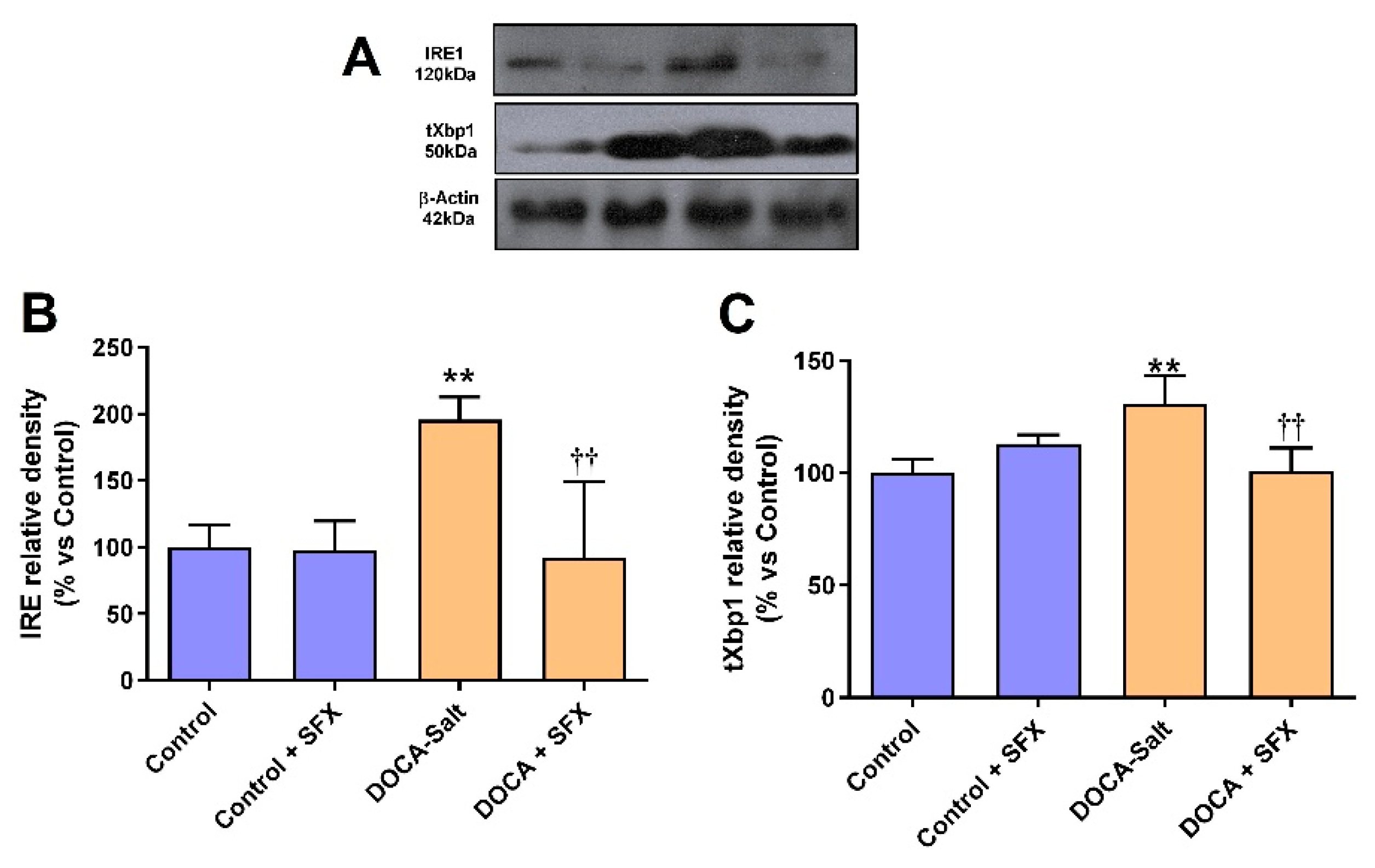 Preprints 193693 g007