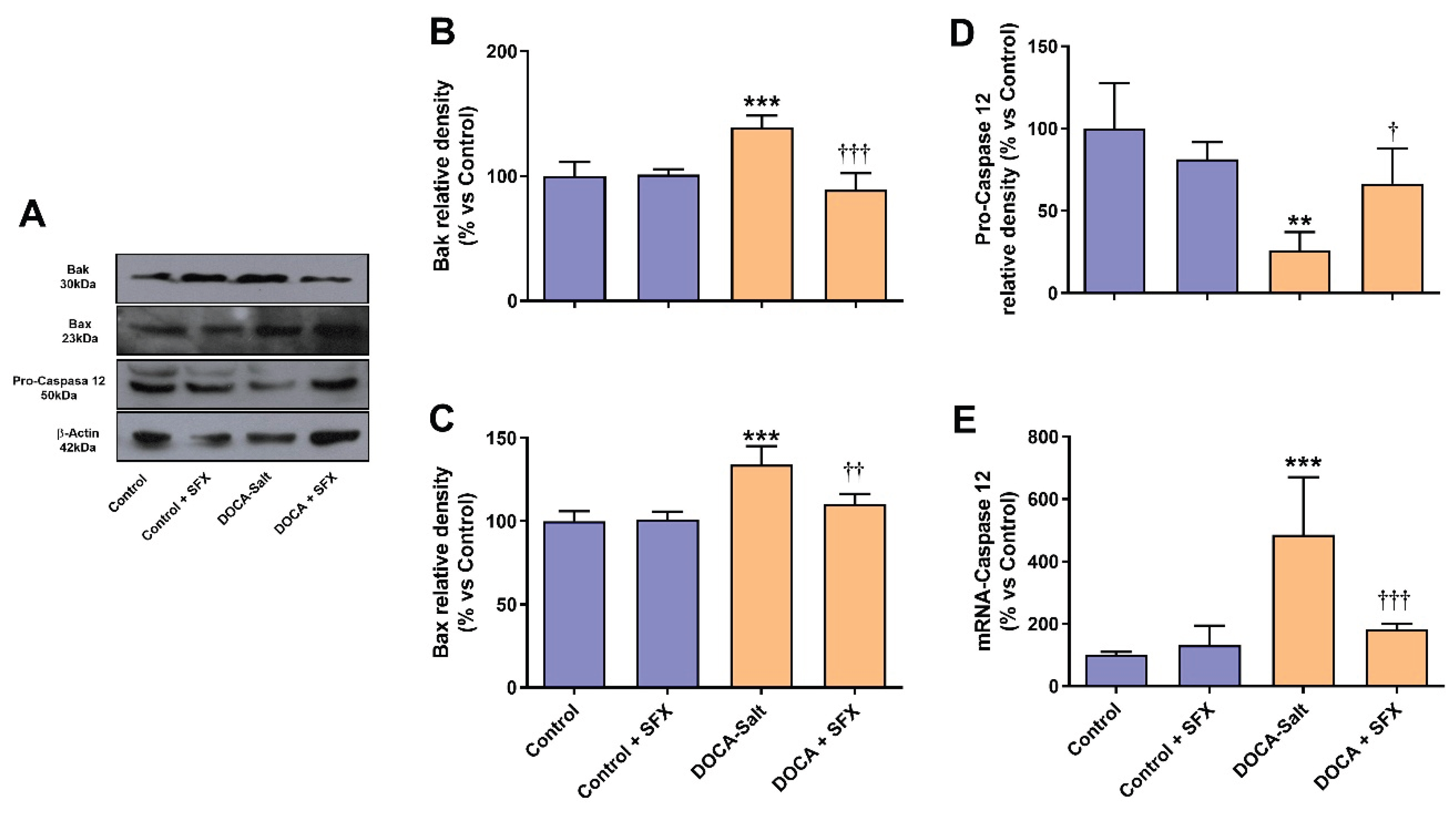 Preprints 193693 g009