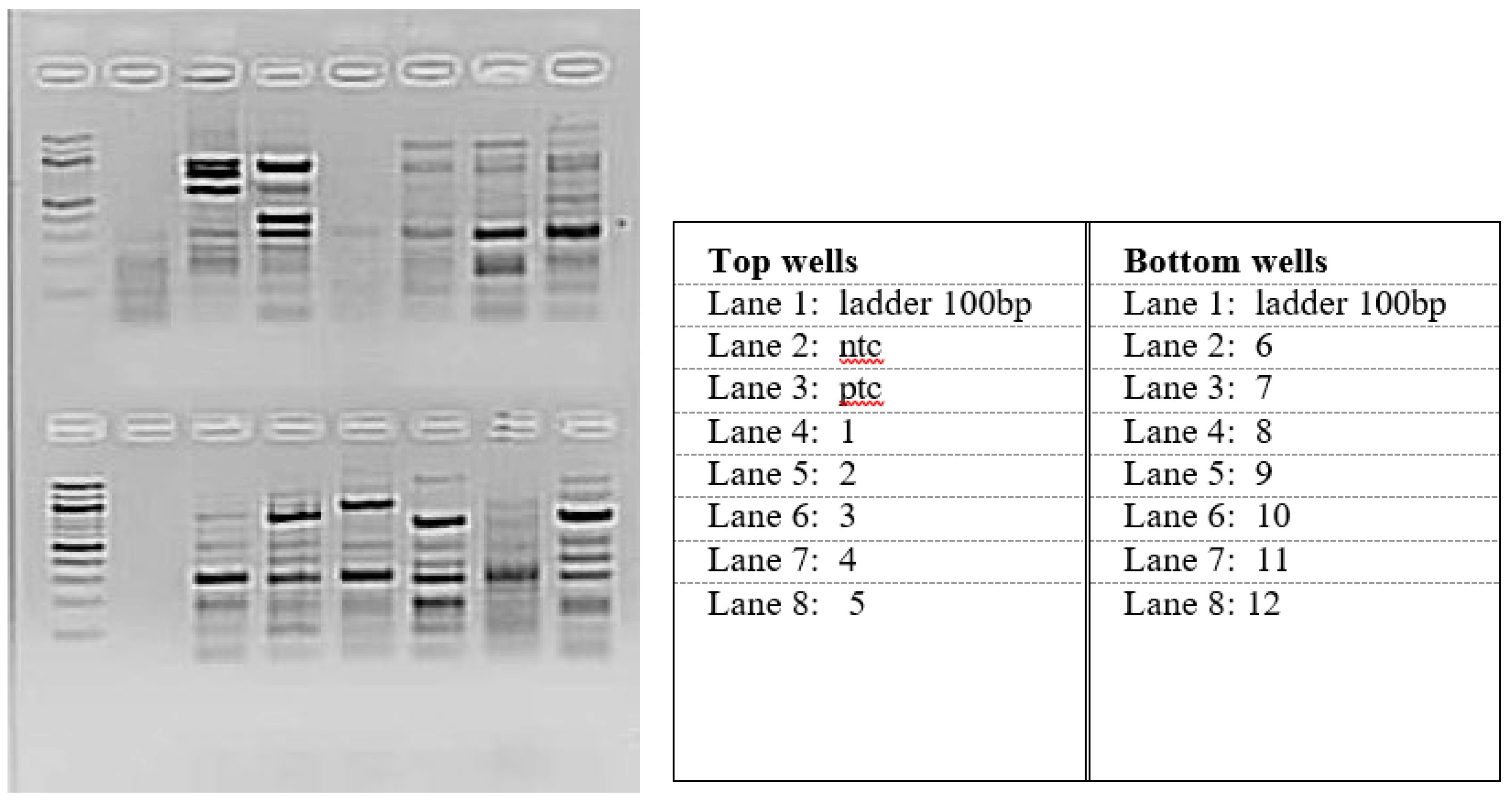 Preprints 147846 g001
