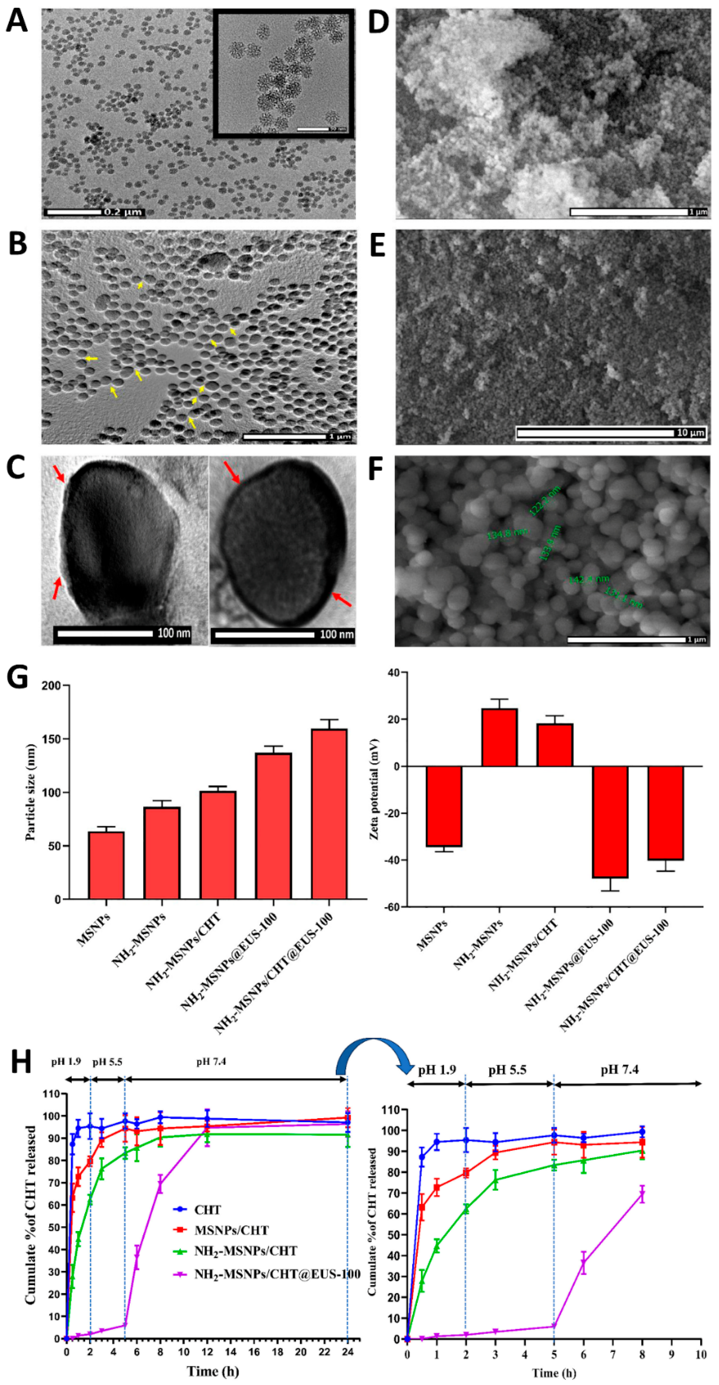 Preprints 207717 g001