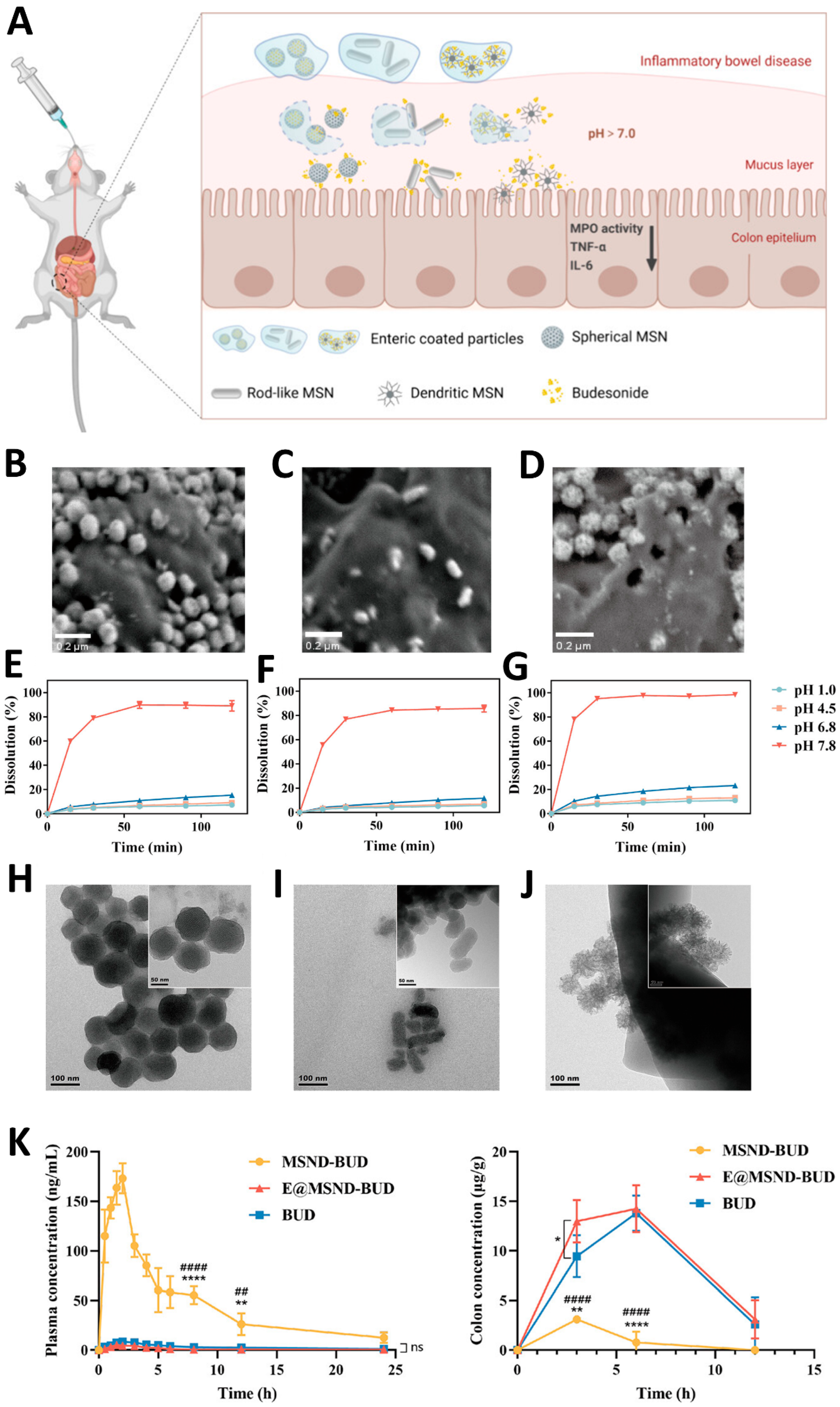 Preprints 207717 g002