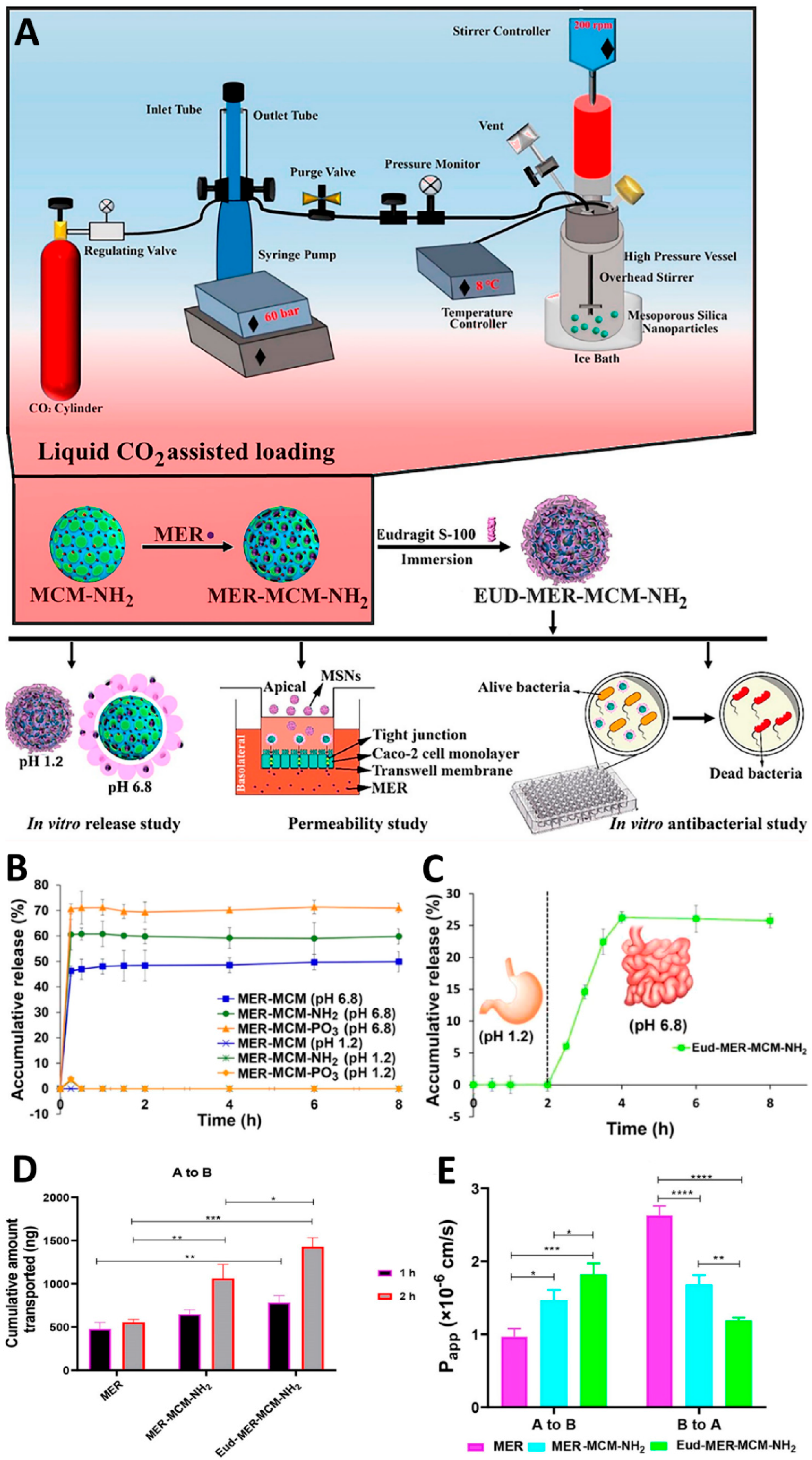 Preprints 207717 g003