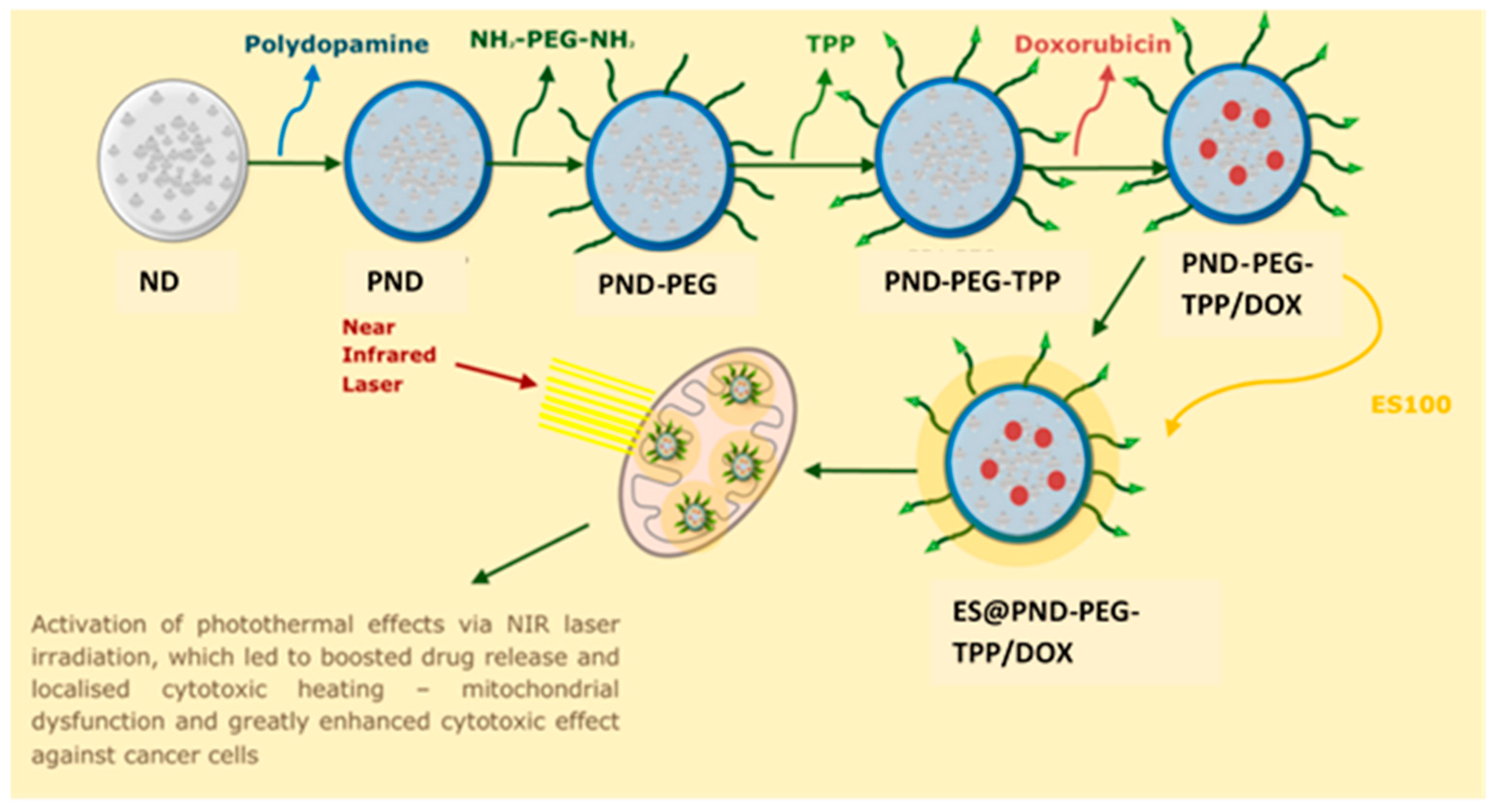 Preprints 207717 g004