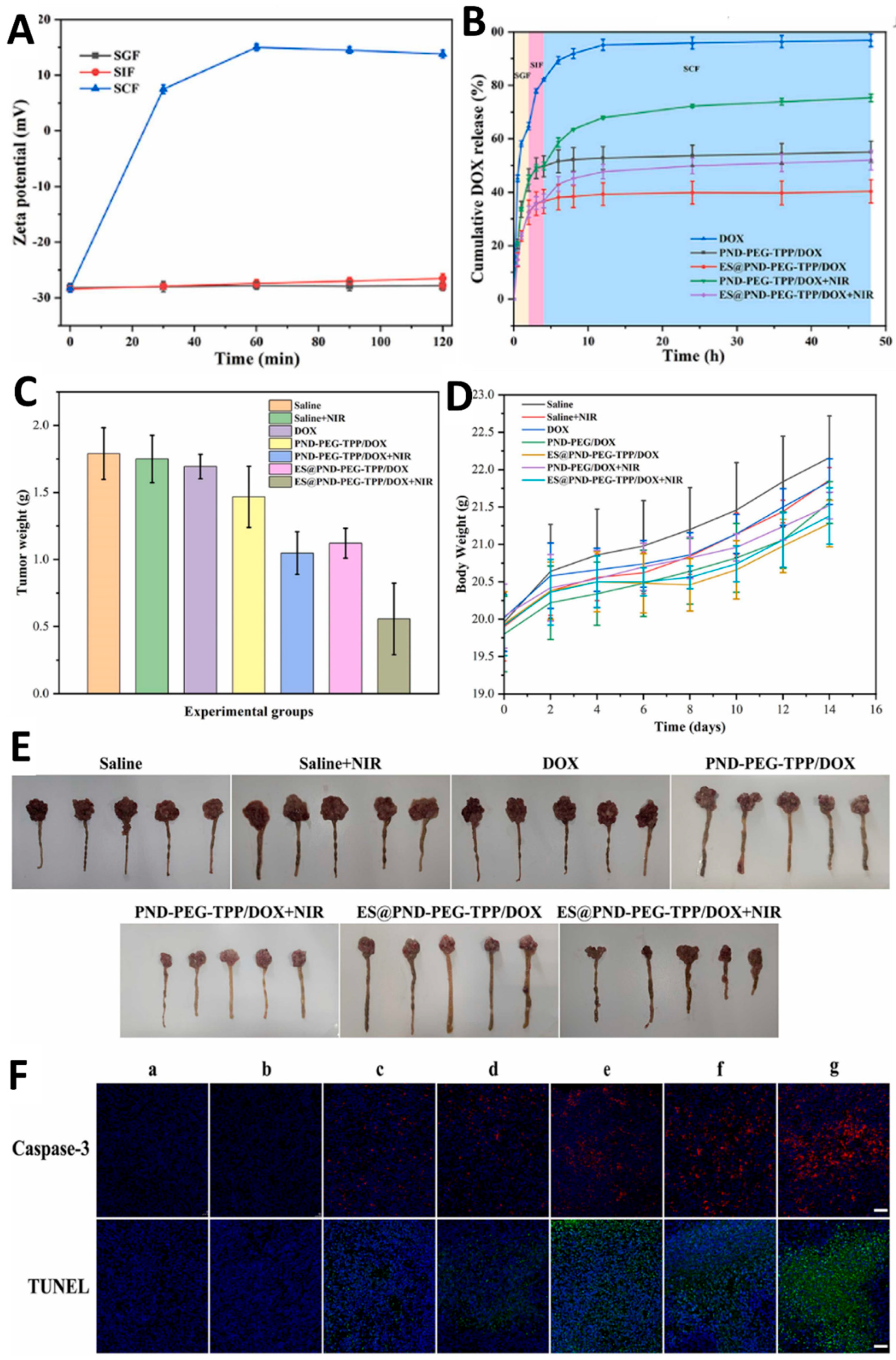Preprints 207717 g005