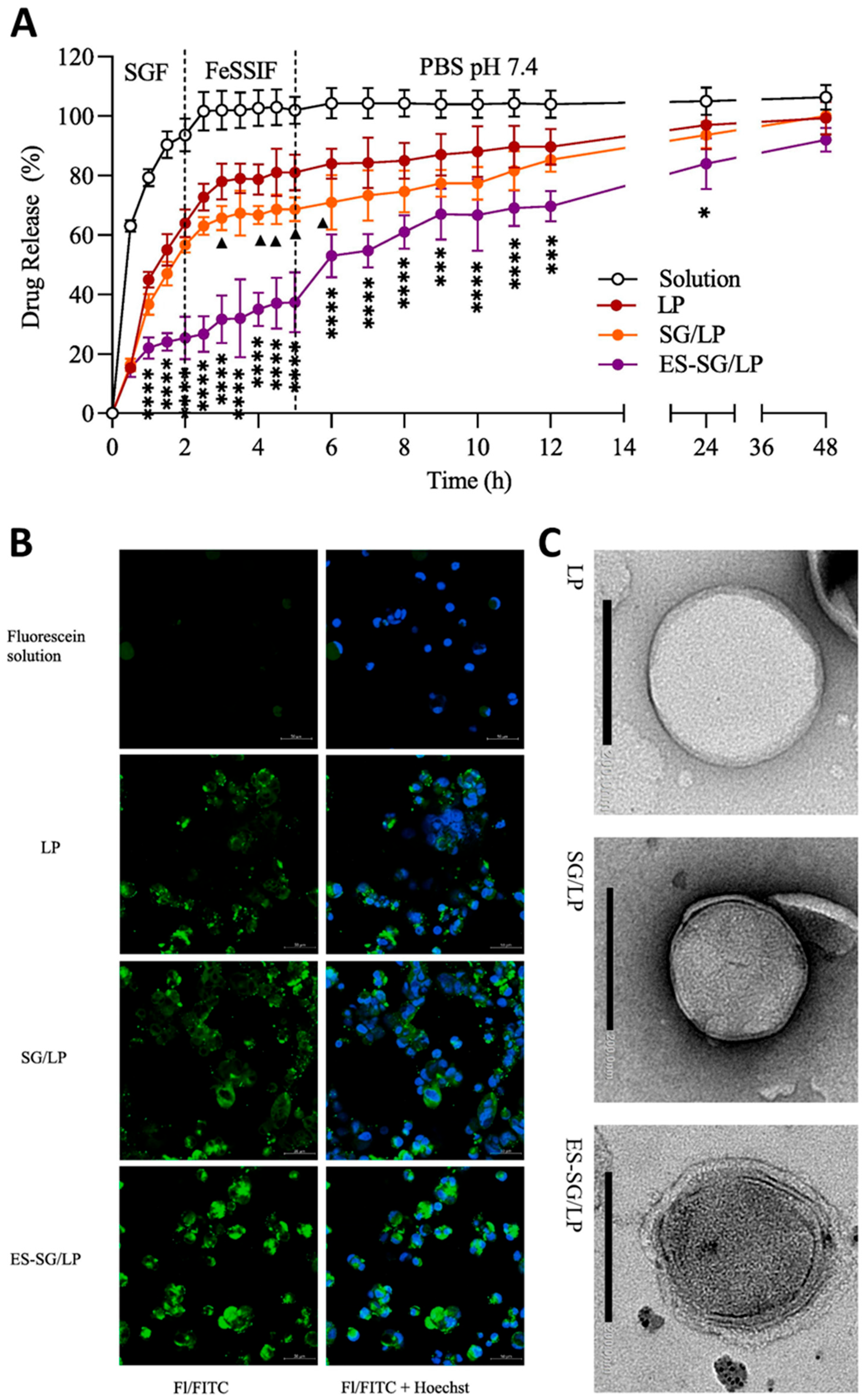 Preprints 207717 g007
