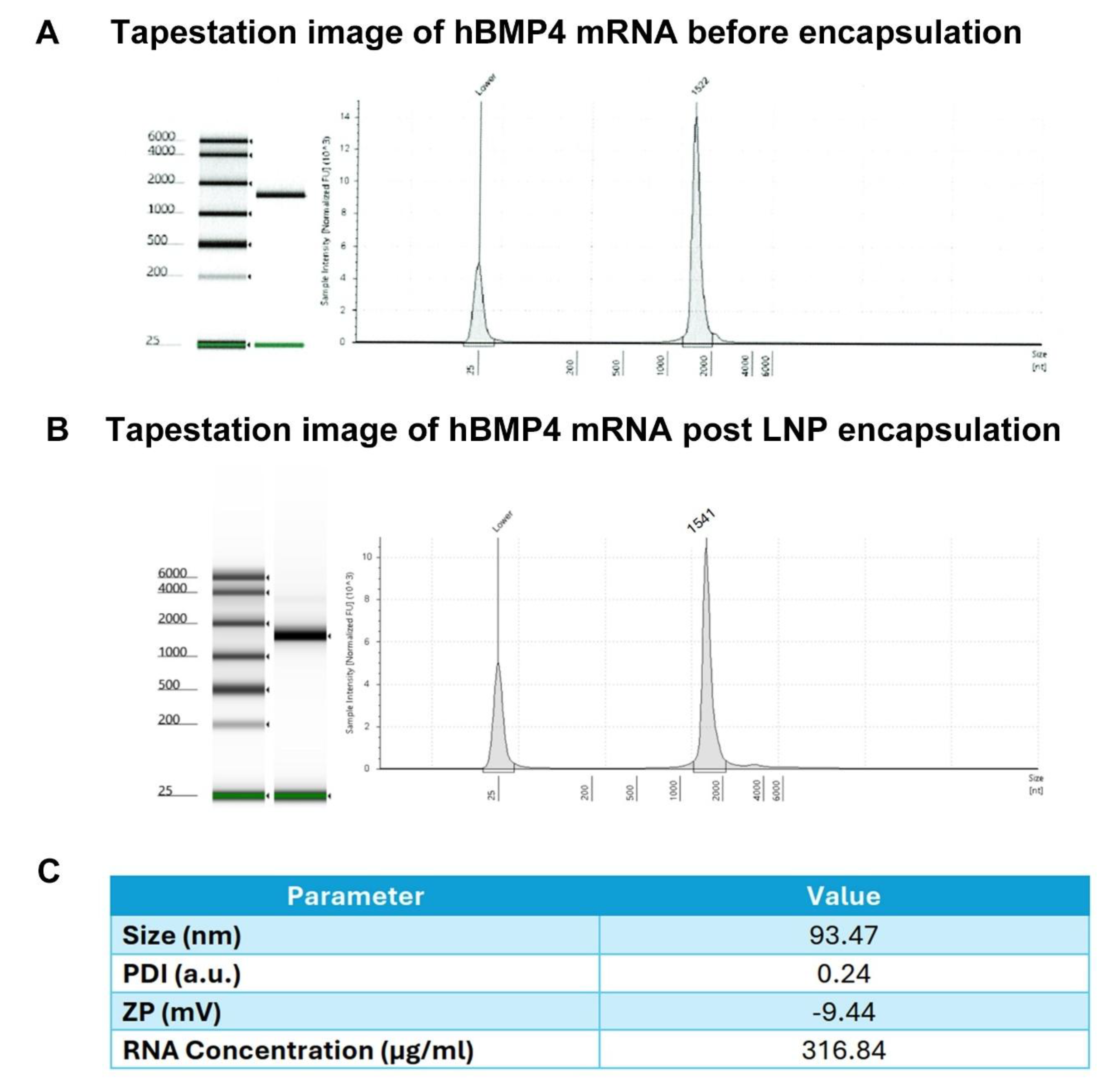 Preprints 207379 g001