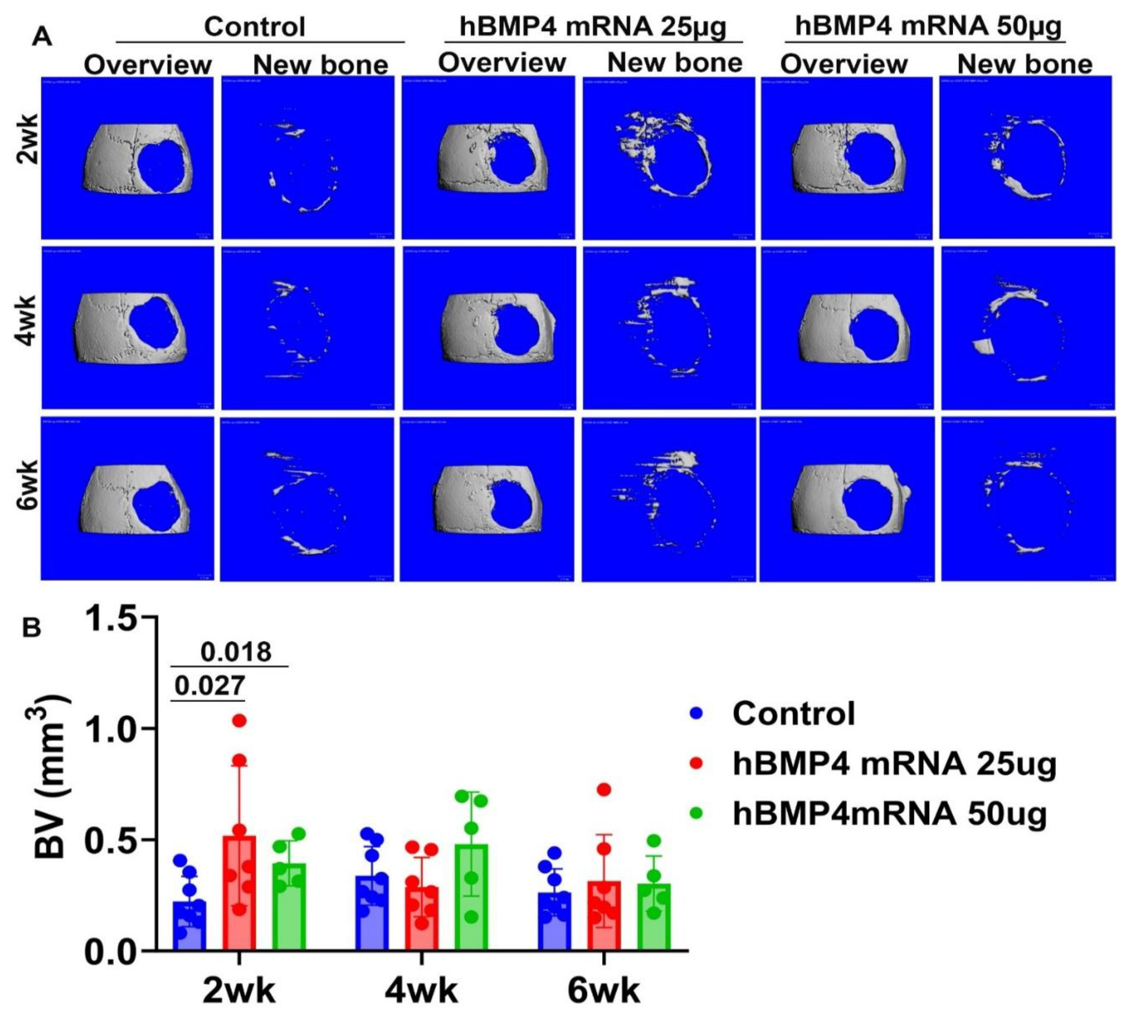 Preprints 207379 g002