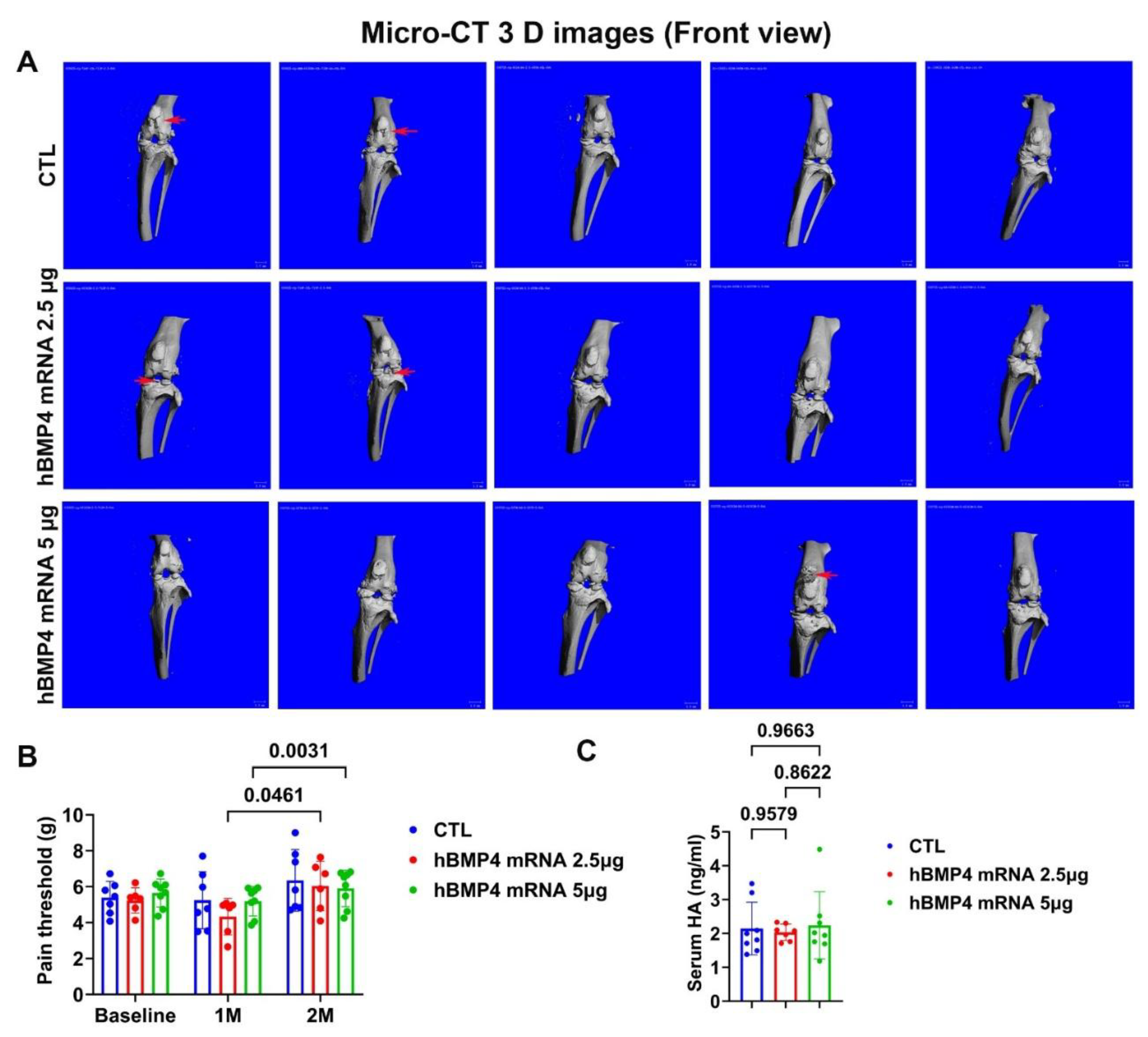Preprints 207379 g004