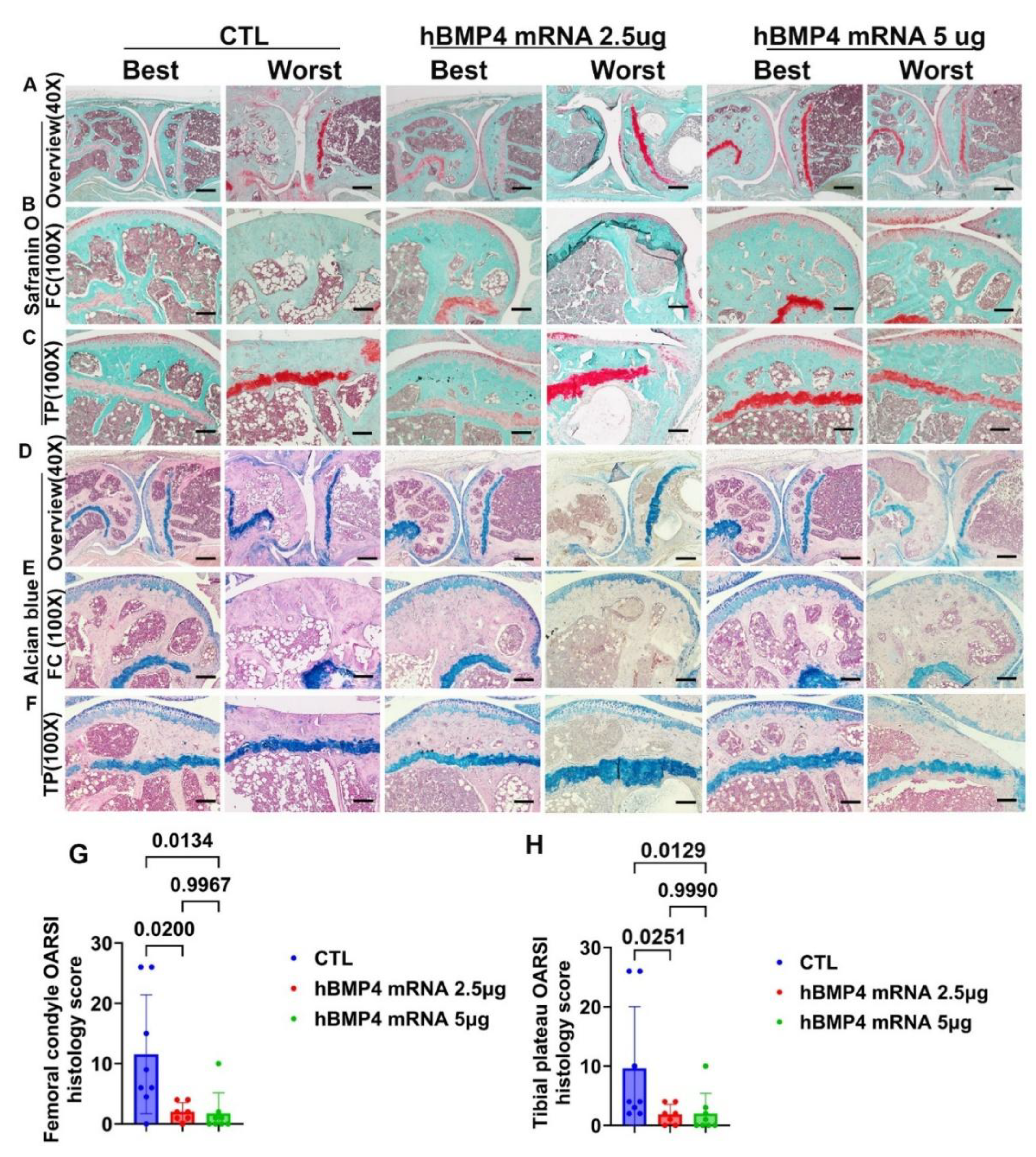 Preprints 207379 g005