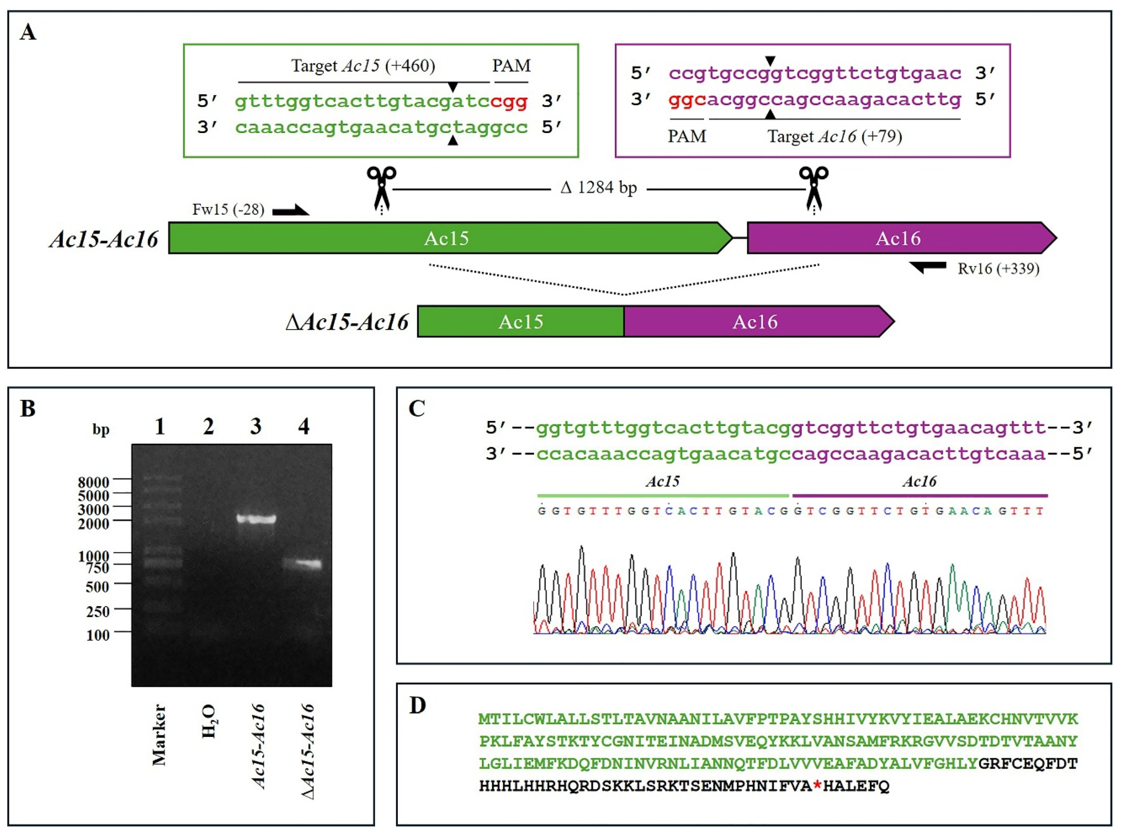 Preprints 165178 g001